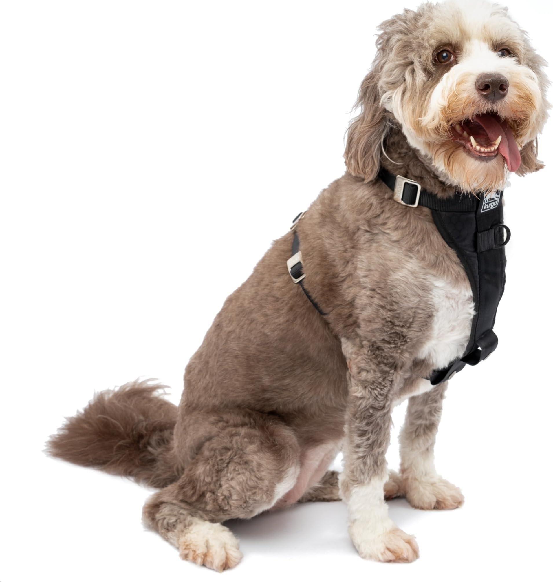 Kurgo Enhanced Strength Tru-Fit Dog Car Harness - Crash Tested, Adjustable, Padded Chest | Large