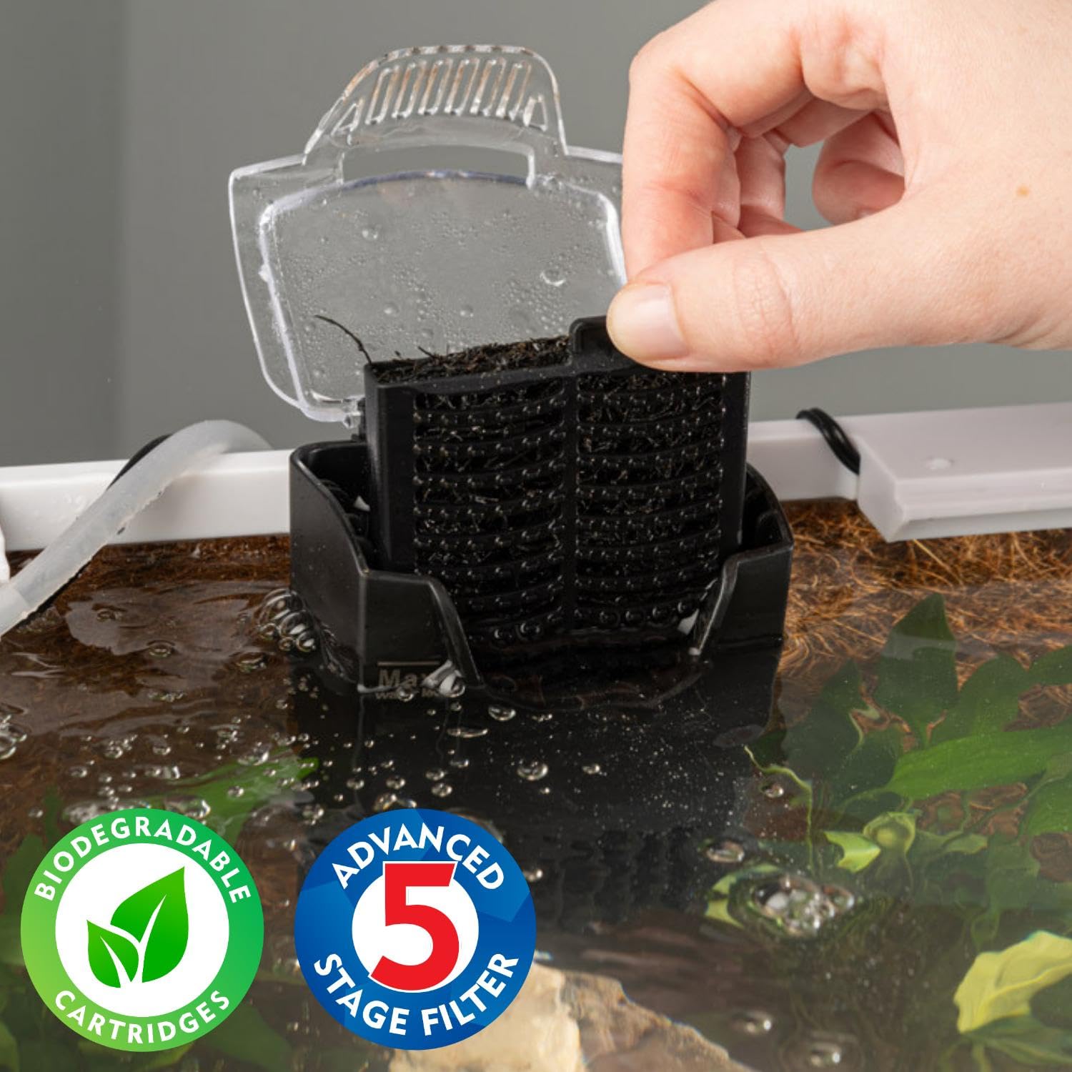 Interpet CF1 3 Month Filter Service Pack - Clears Water & Reduces Algae