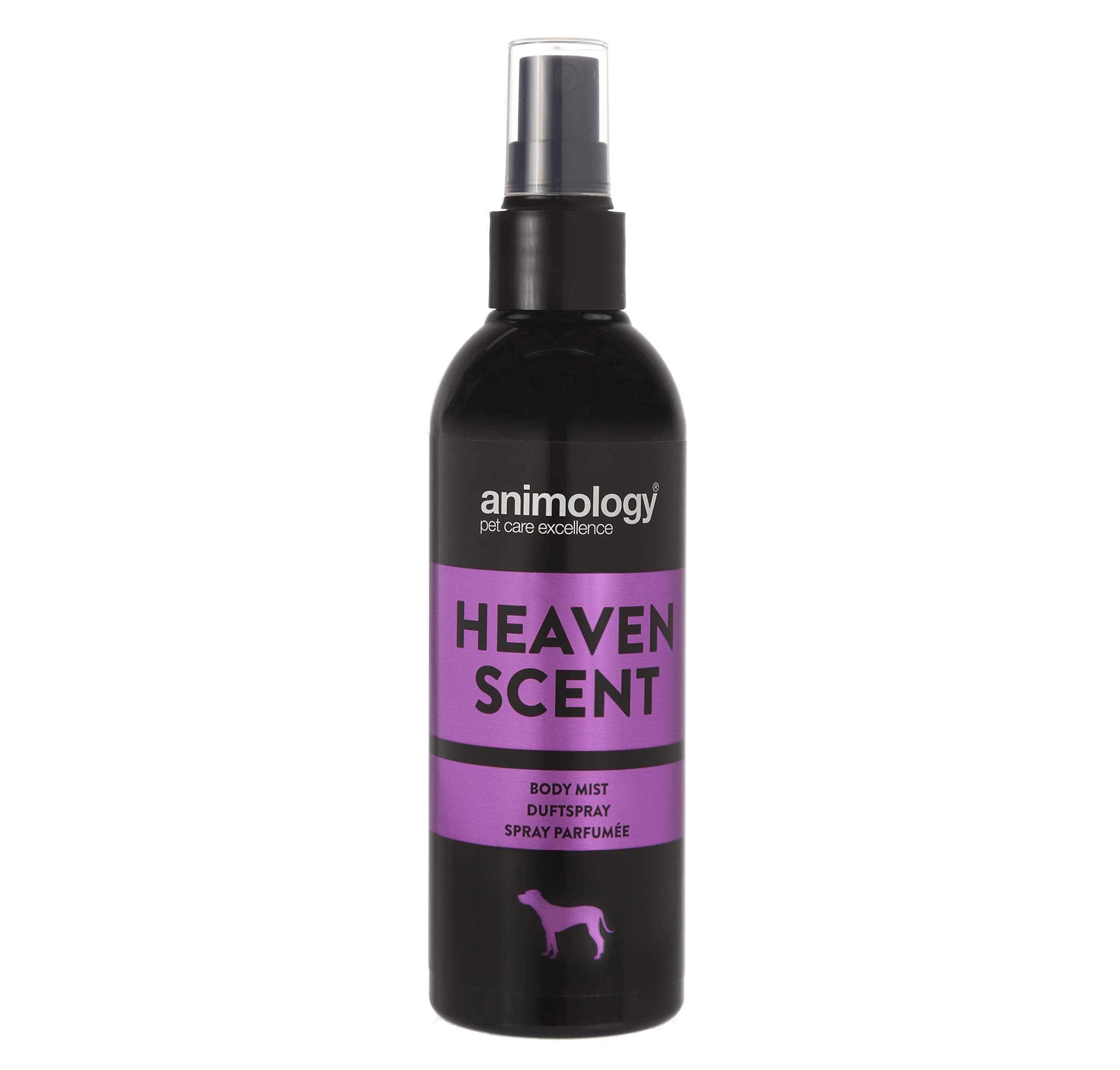 Animology Heaven Scent Body Mist - Long Lasting Floral Fragrance | 150 ml 1
