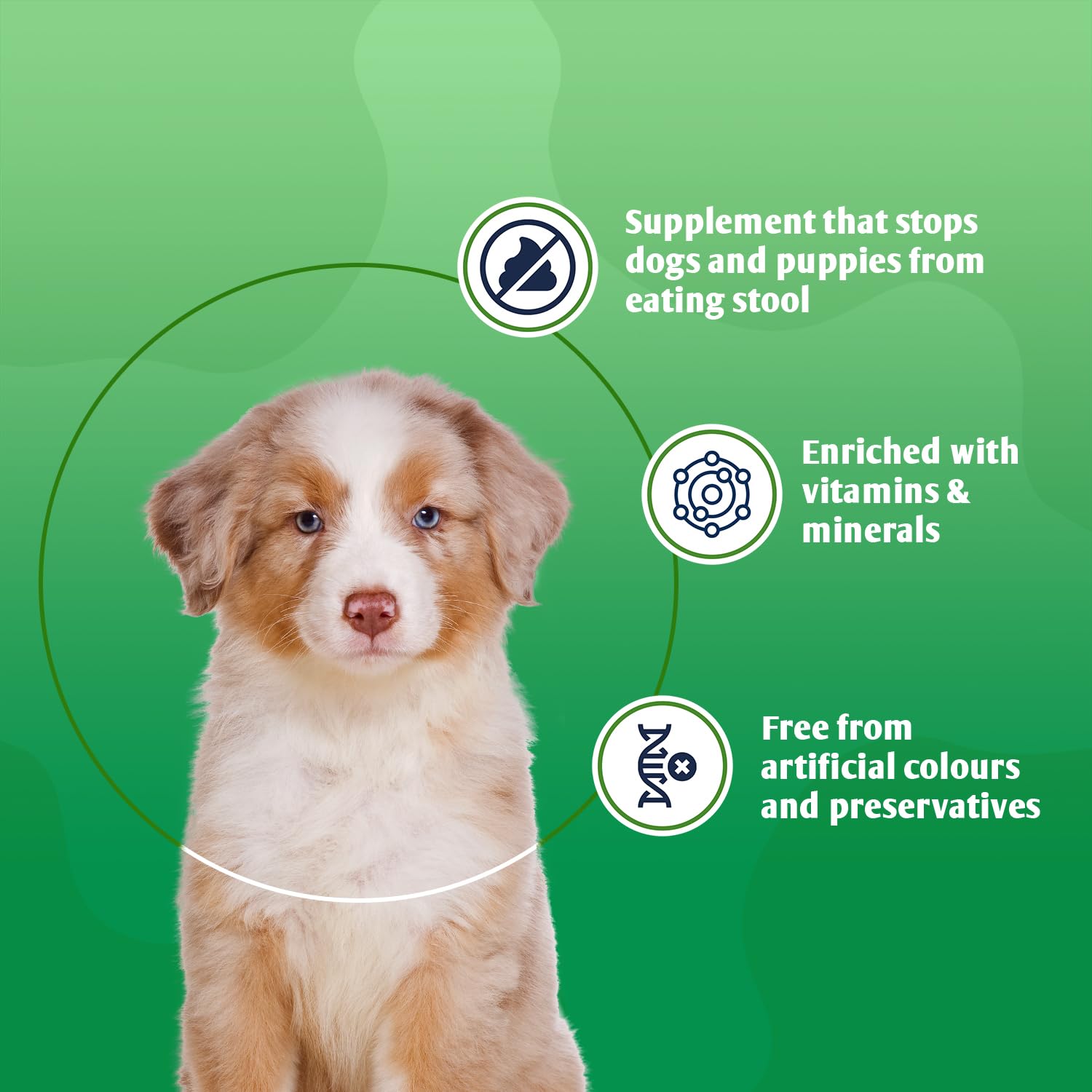 8in1 Deter Coprophagia Prevention Supplement - Stool Eating Deterrent for Dogs | 100 Tablets 3