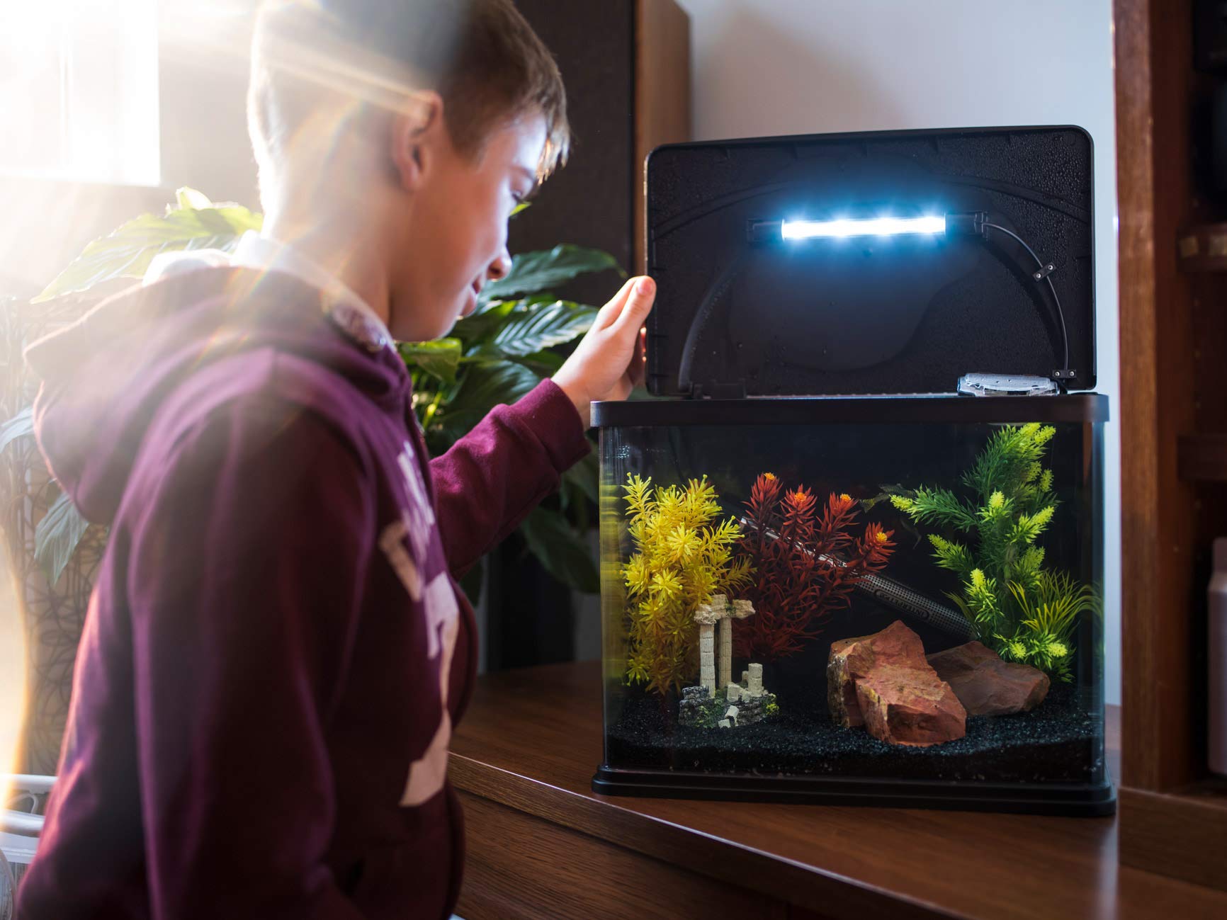 Interpet Deltatherm Aquarium Heater - 150W | Adjustable Temperature | Submersible 2