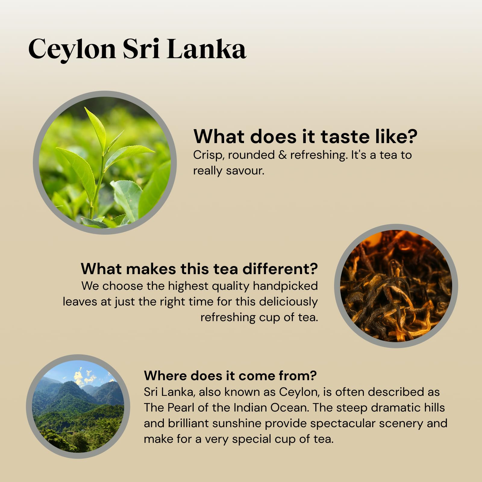 Twinings Ceylon Tea - Lively Crisp Refreshing Black Tea | 40 Teabags | Vegan | 100g 3