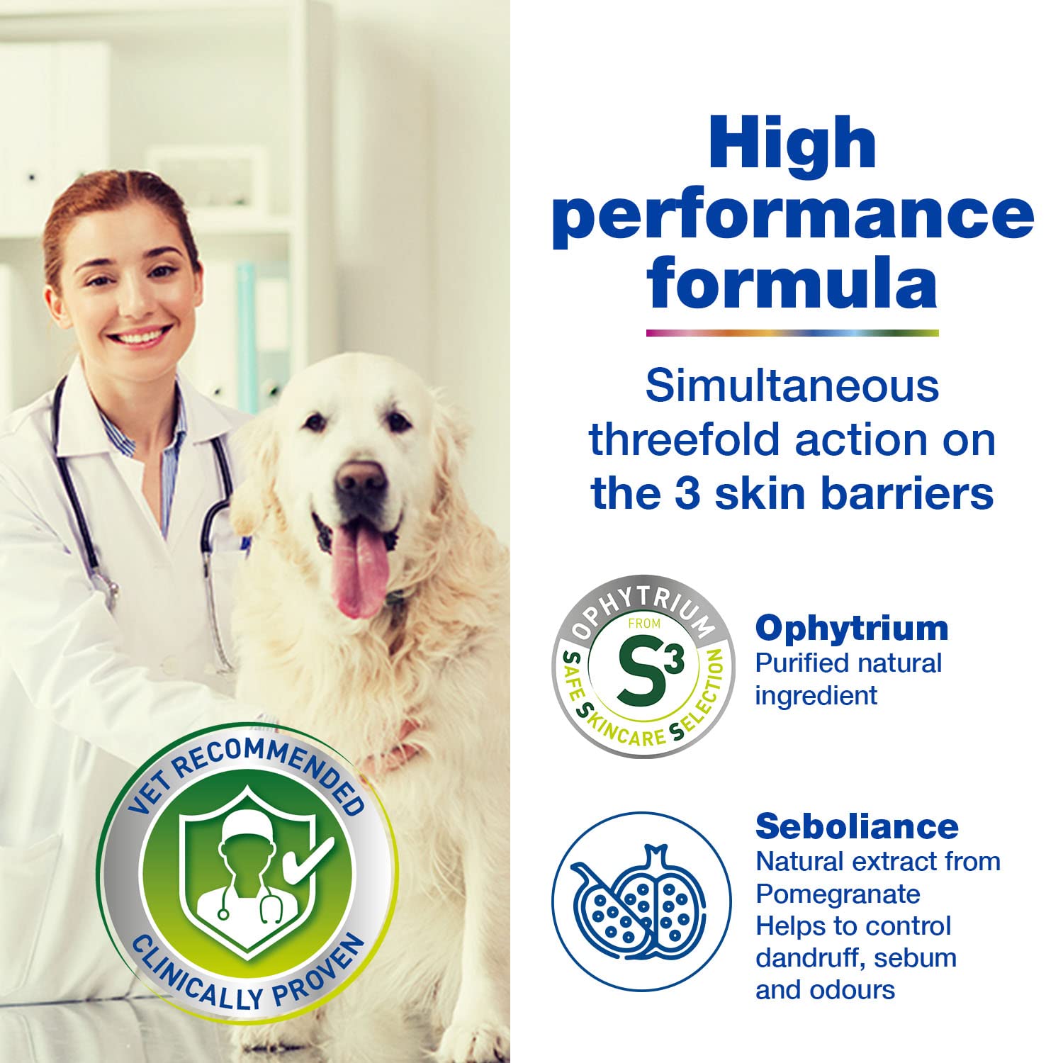 Douxo S3 SEB Mousse for Dogs & Cats - Dandruff & Sebum Control | 150 ml (Pack of 3) 4
