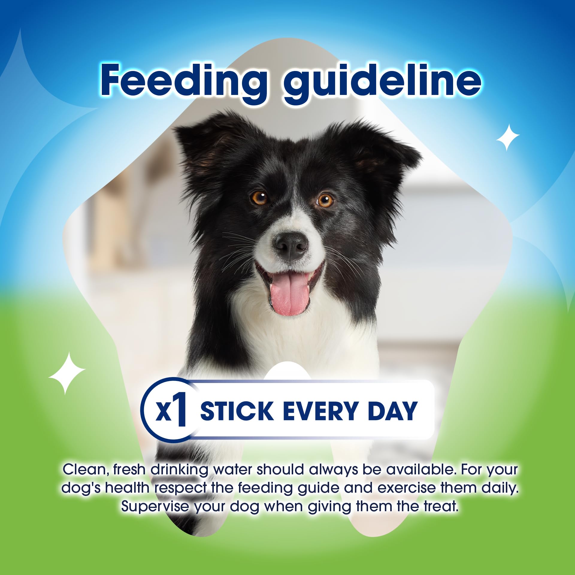 Dentalife ActivFresh Chicken Dental Sticks for Small Dogs - 30 Sticks (Pack of 2) 4
