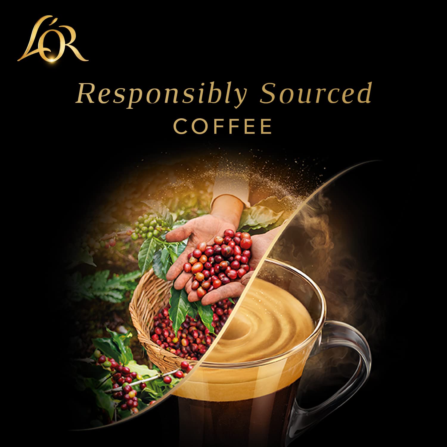 L'OR BARISTA Double Ristretto XXL Aluminium Medium Roast Coffee Capsules (50 Capsules) 7