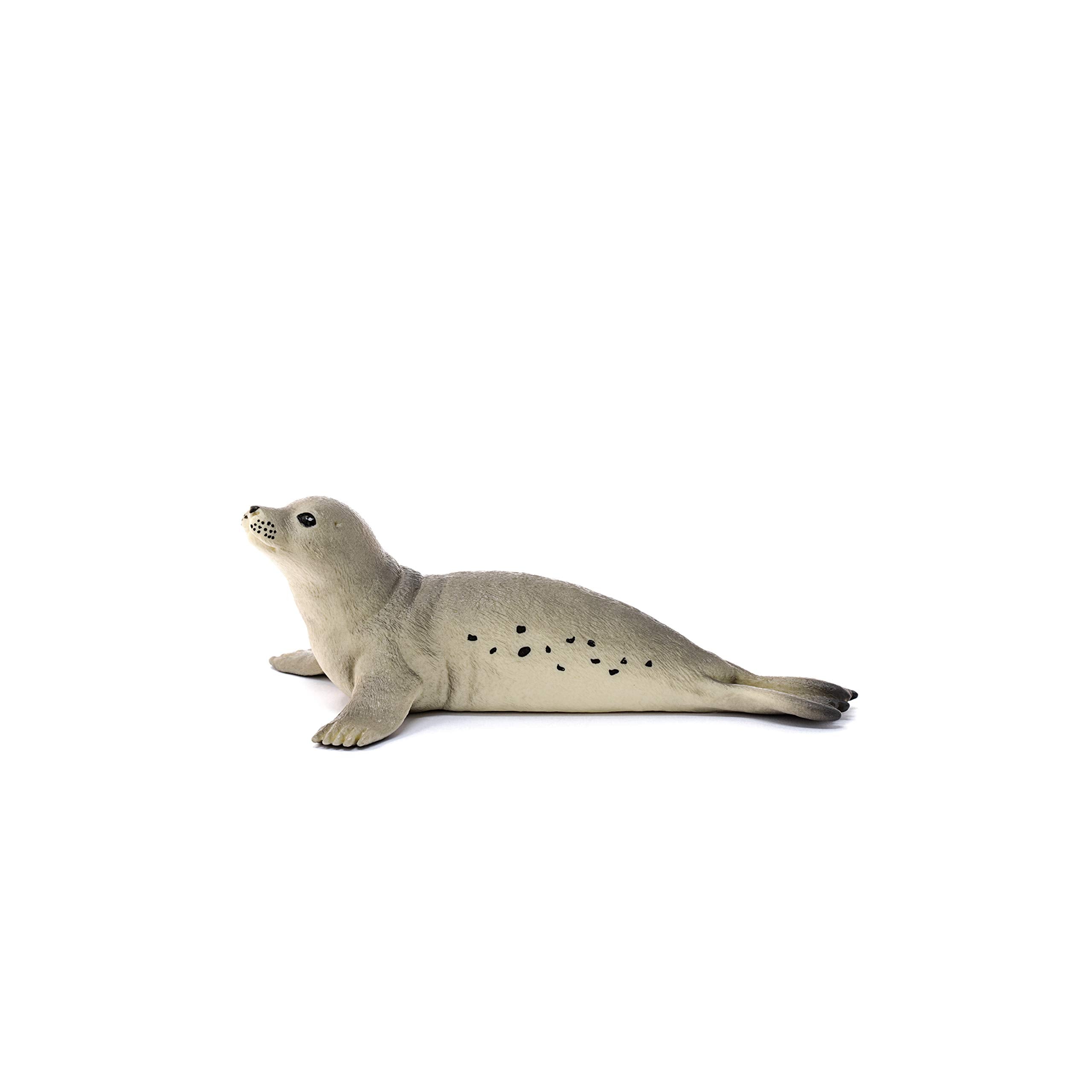 SCHLEICH 14801 Seal Wildlife Animal Figure - Educational Play for Kids 4