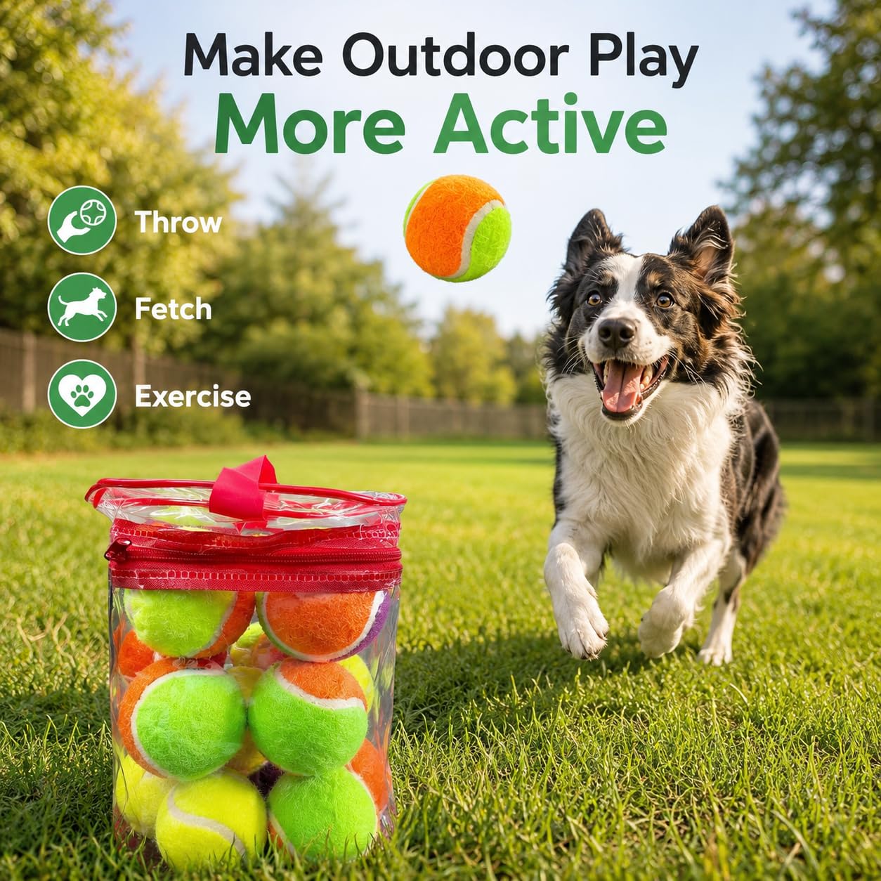 1ABOVE 12-Pack Multi-Colour Tennis Balls for Dogs - Lightweight Fetch Toy 5