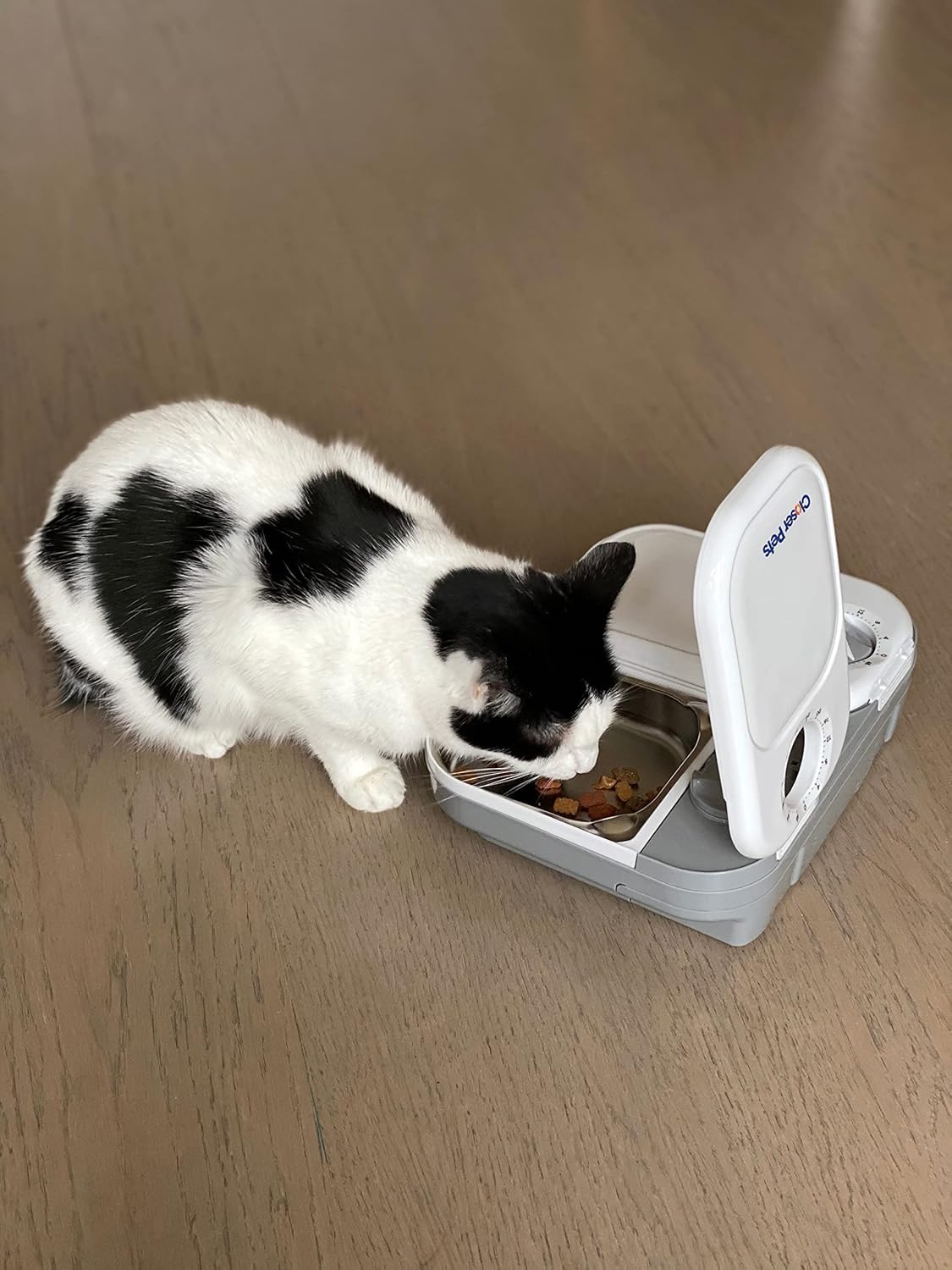Closer Pets Automatic Pet Feeder - 2-Meal Timer, Stainless Steel Bowls, Ice Pack | White 4