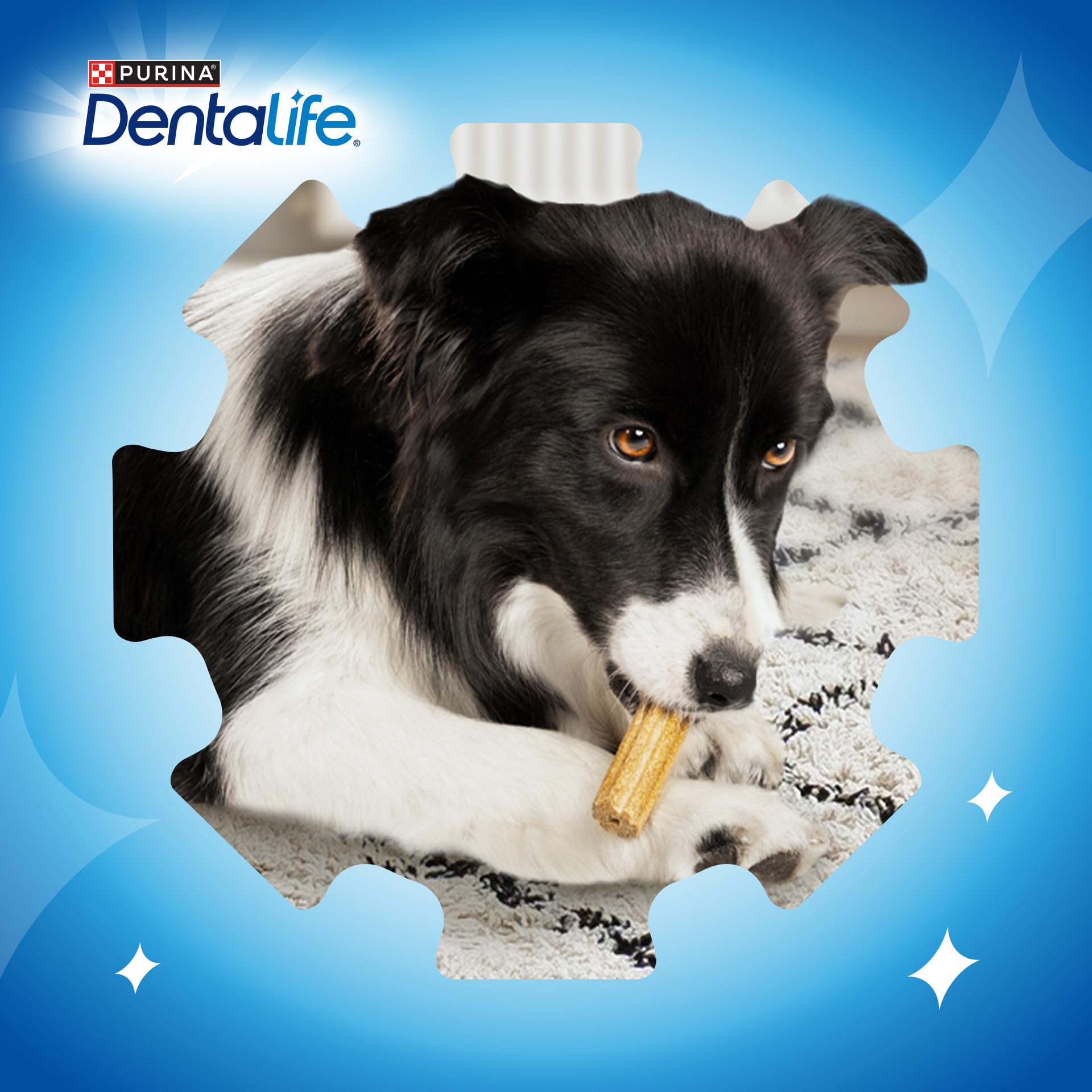 Dentalife Small Dog Dental Chews Chicken Flavor for Adult Dogs | 30 Sticks (Pack of 2) 7