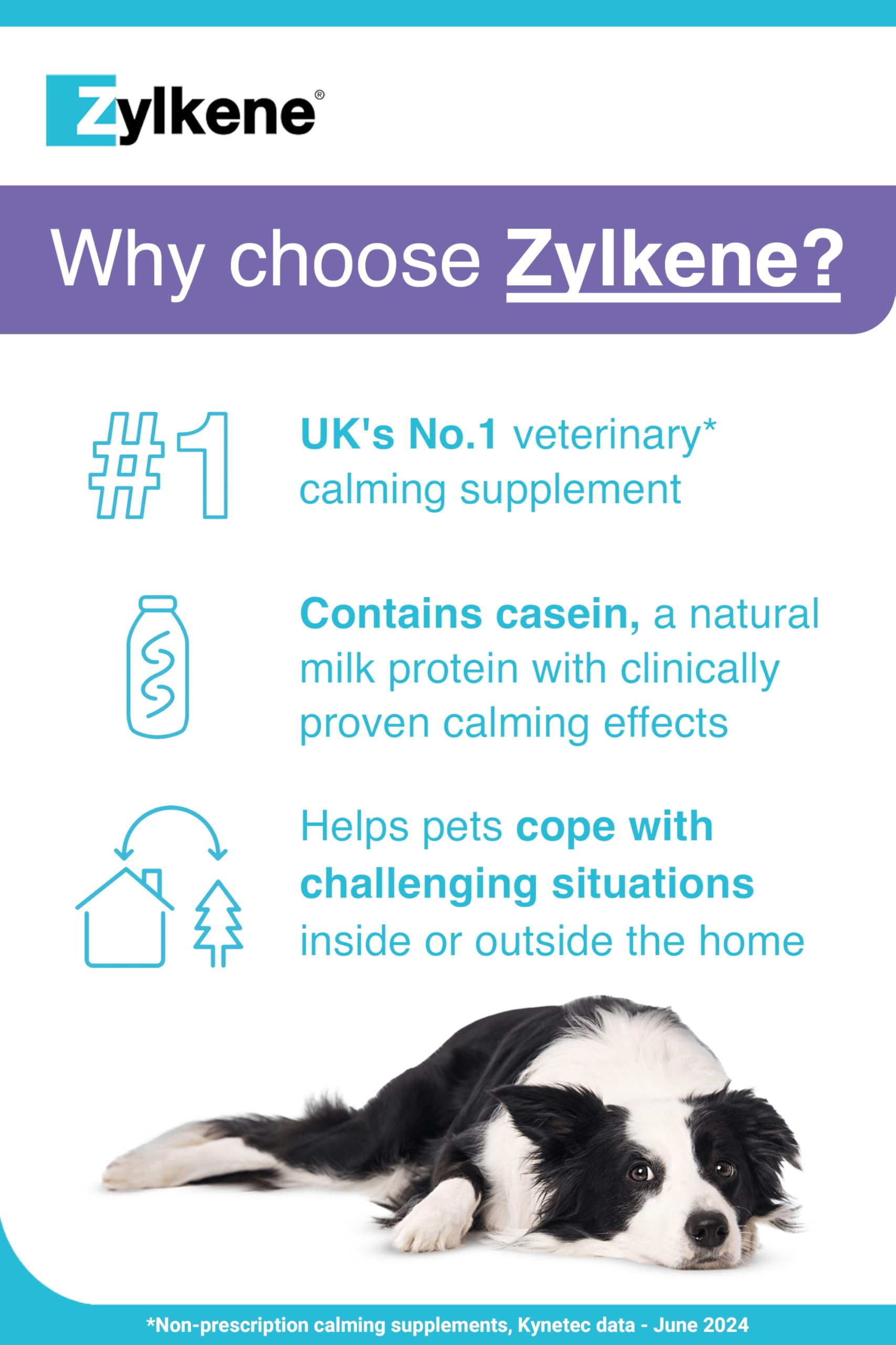 Zylkene Calming Supplements for Large Dogs (30 to 60kg) 450mg | 20 Capsules 2