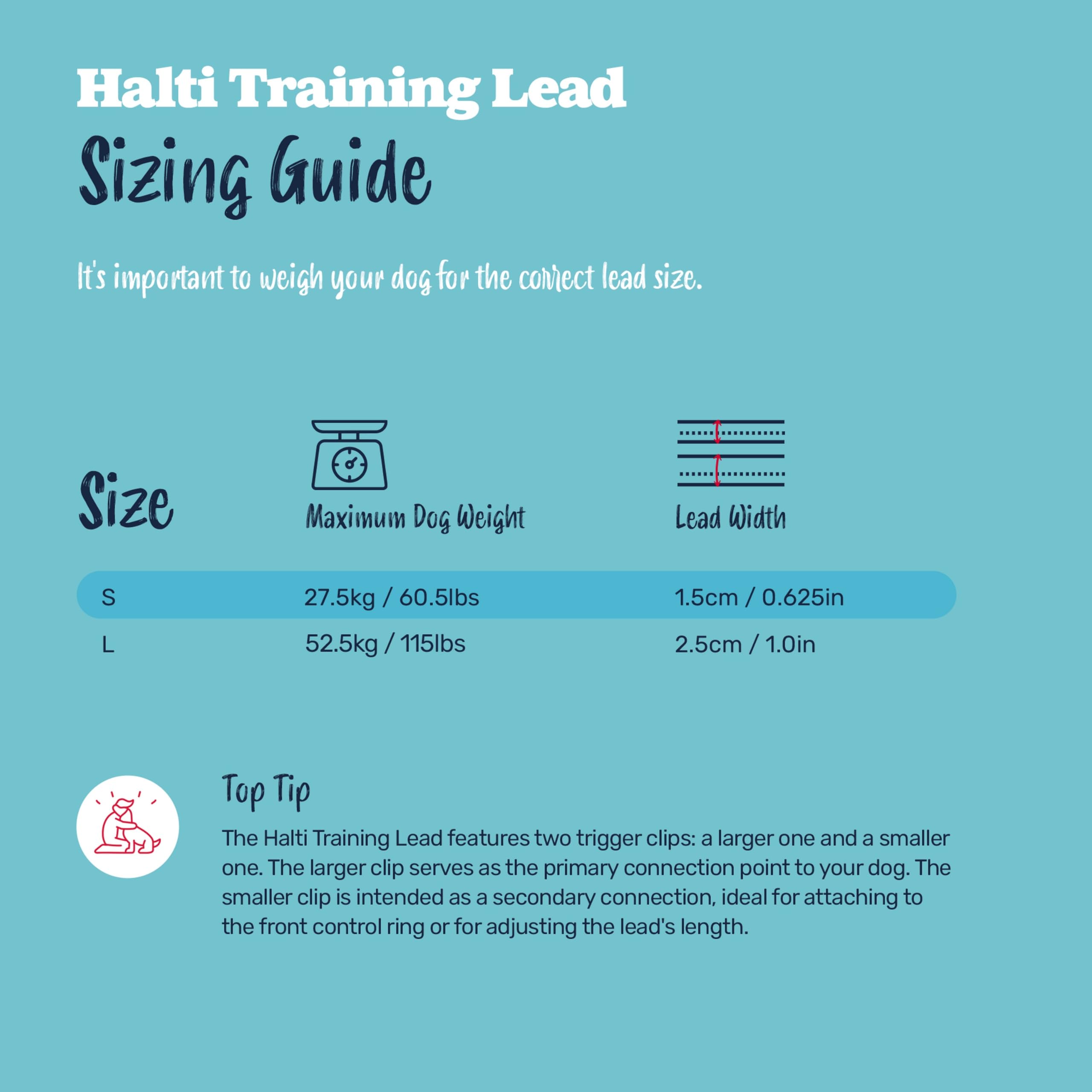 Halti Training Lead - 7 Versatile Uses | Durable Polyester Webbing | Size Large Forest Green 5