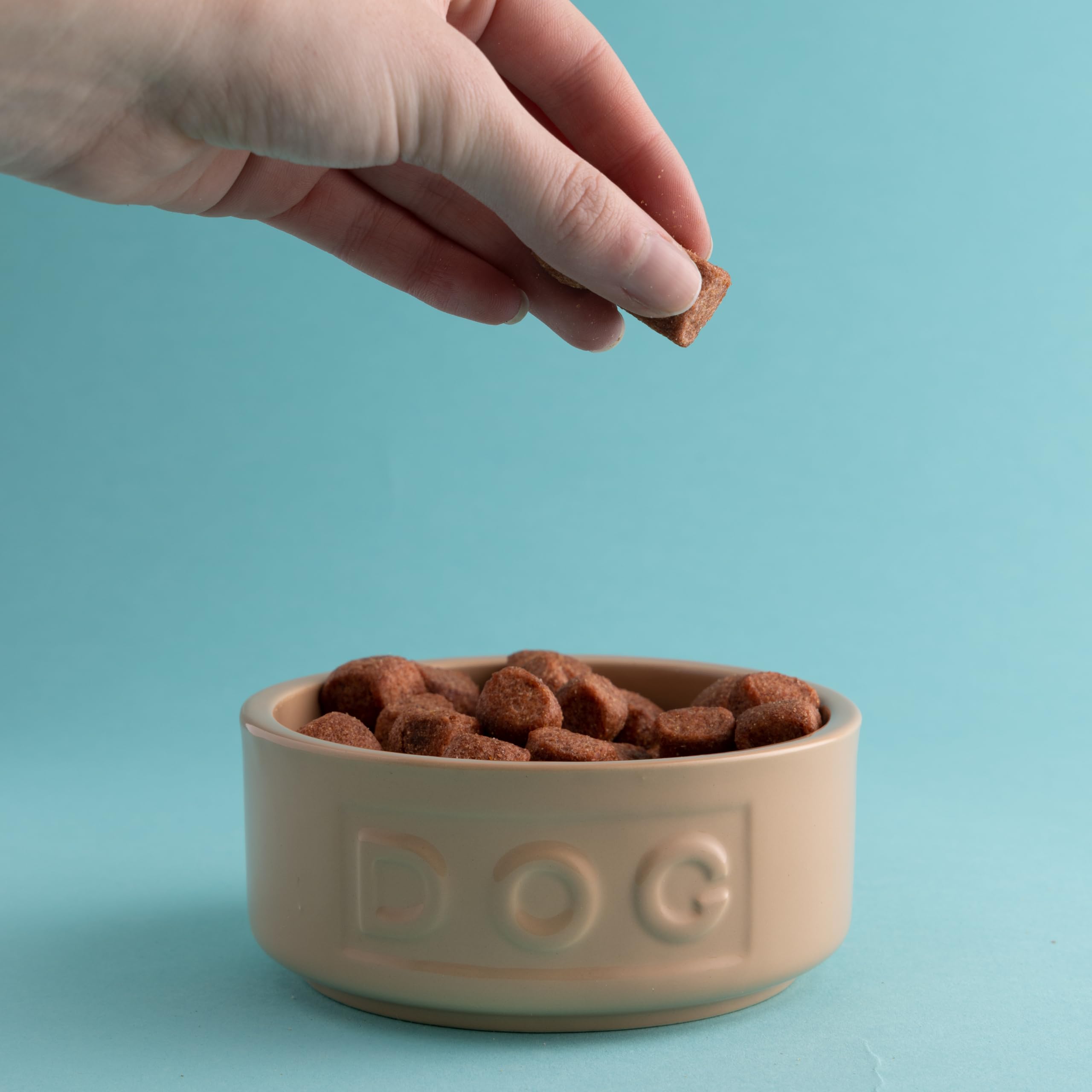 Mason Cash Cane Ceramic Dog Bowl - 400ml Capacity | Durable Stoneware | Ideal for Small Dogs 3