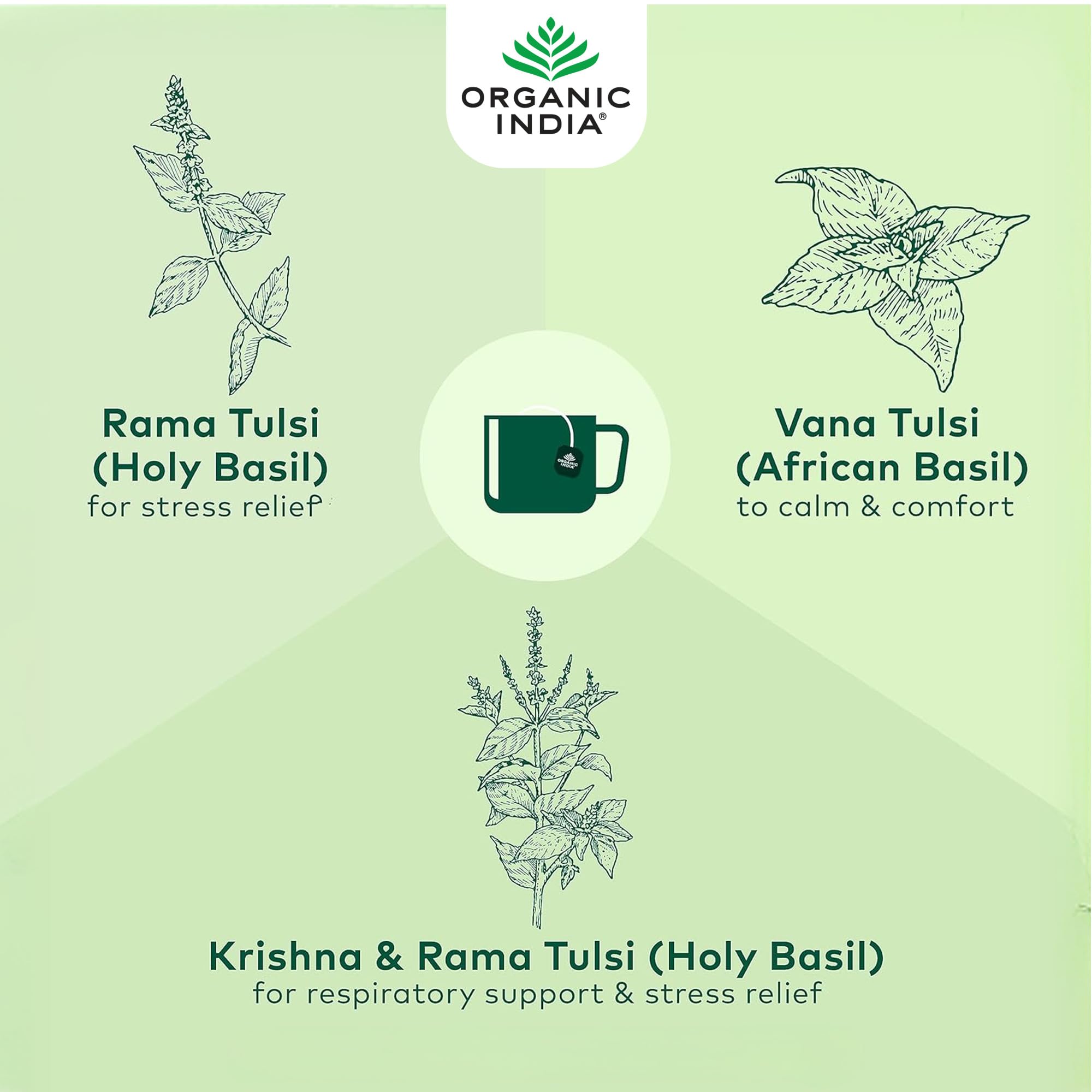 Organic India Original Tulsi Herbal Tea - Caffeine-Free, Individually Wrapped Tea Bags 6