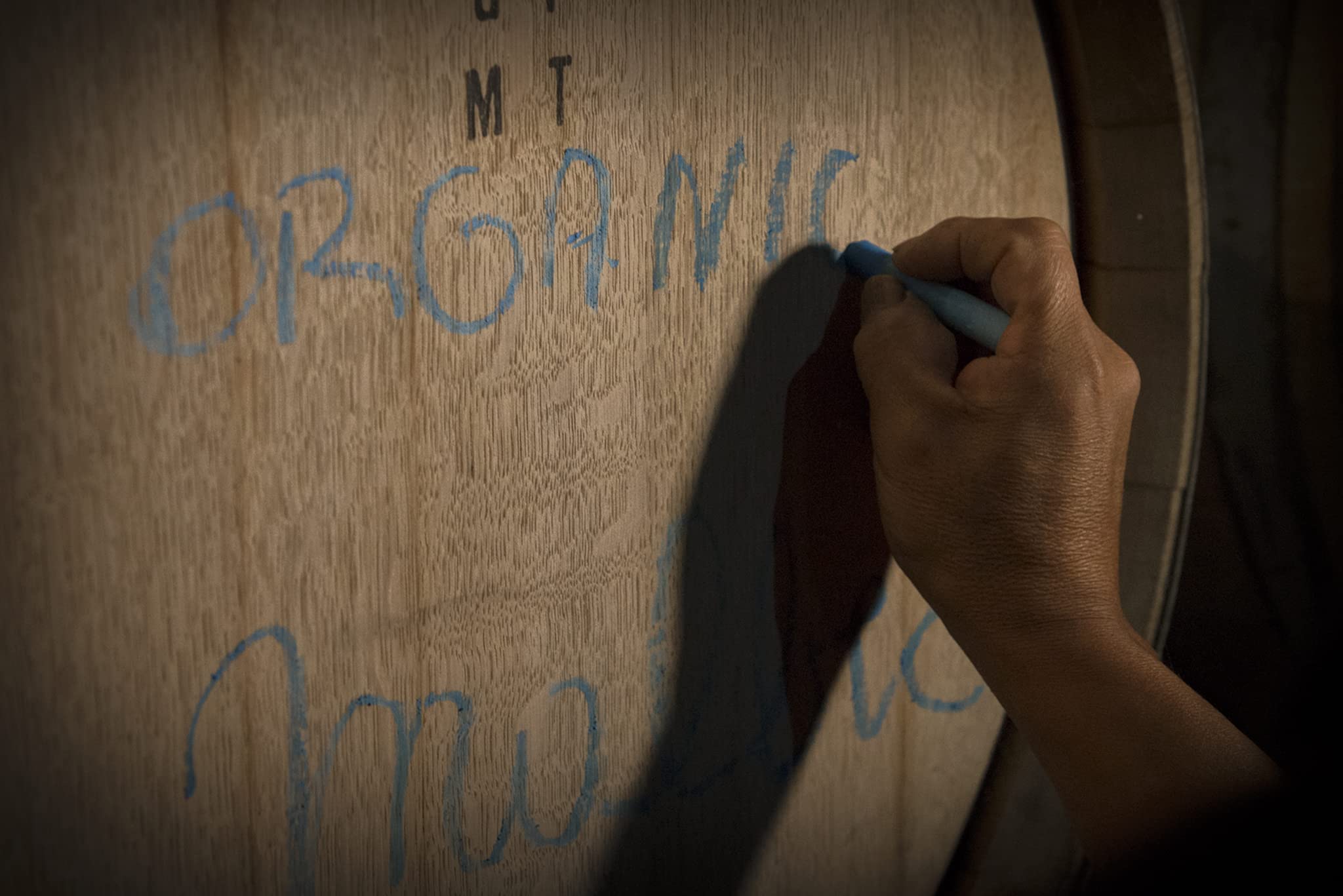 Quinde Reserve Organic Malbec Wine by Bodegas Vinecol - 75cl 4