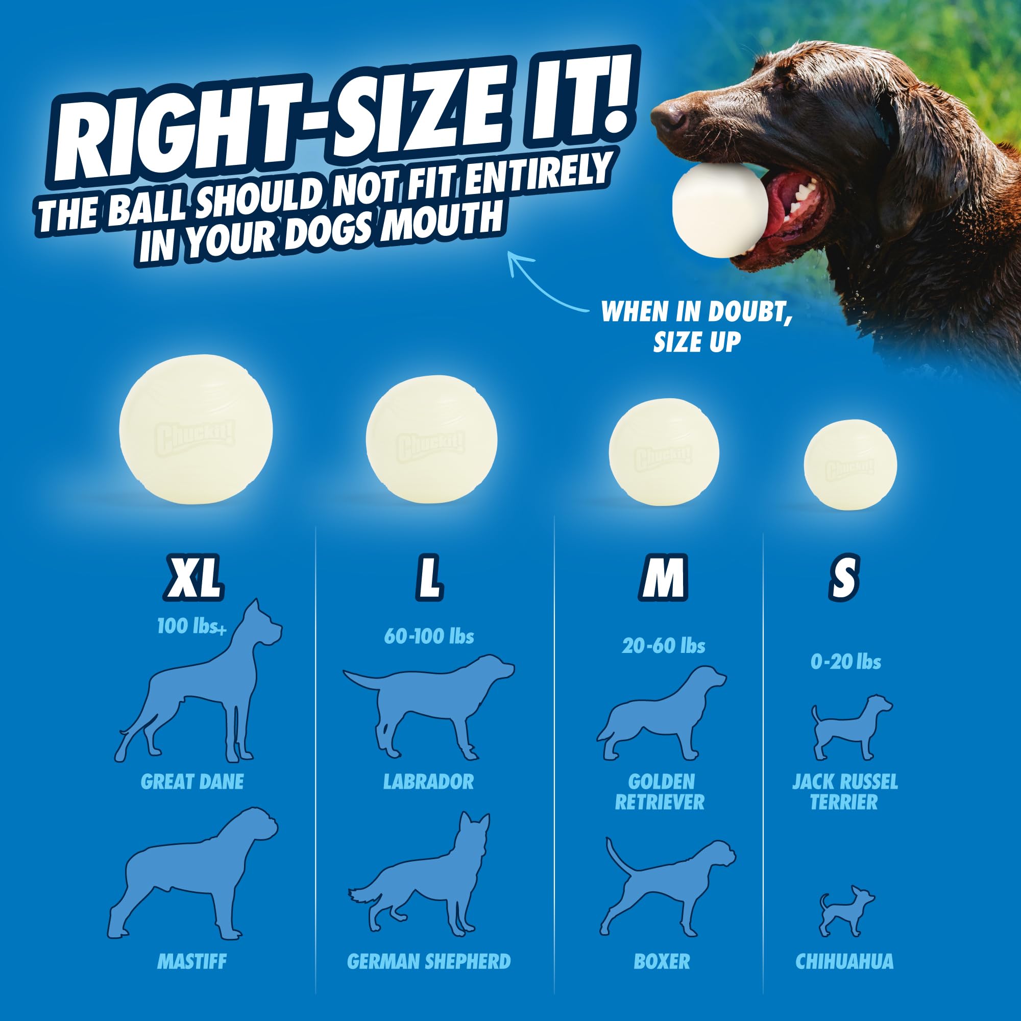 Chuckit! Max Glow Ball - Durable Rubber Fetch Toy | High Visibility | Large Size 7