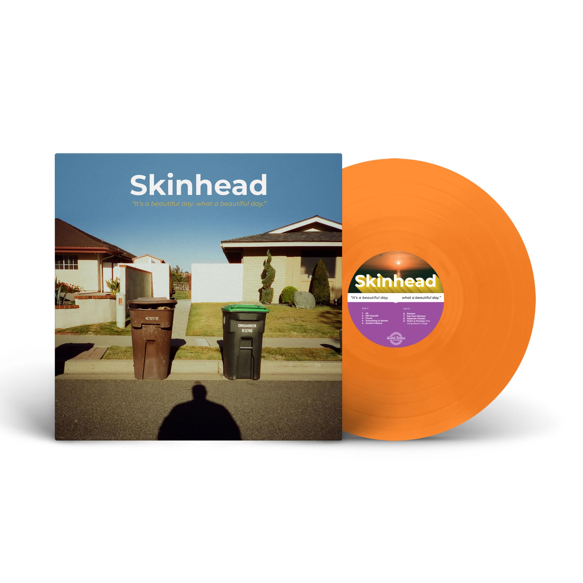 Skinhead - It's a Beautiful Day, What a Beautiful Day [VINYL] 1