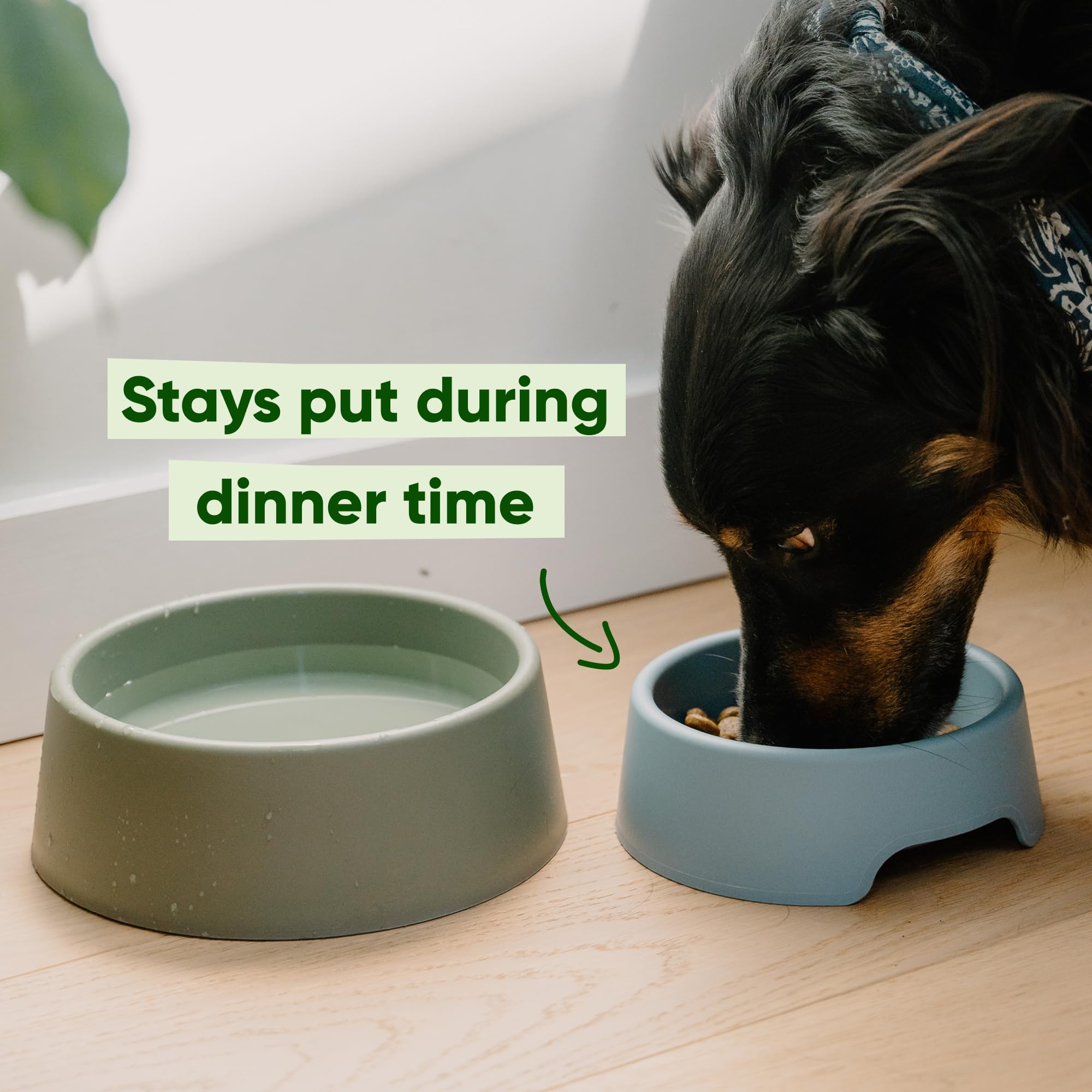 Beco Steady Dog Bowl - Recycled Plastic | Small Size | Candy Pink | Non-Slip 4