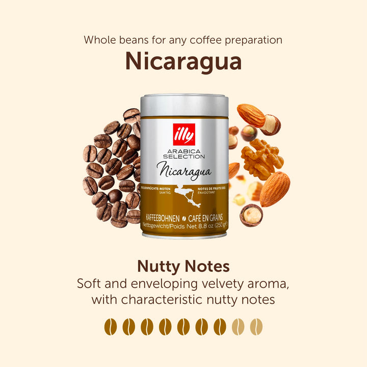 illy Nicaragua Medium Roast Coffee - 100% Arabica Beans - 250g Tin