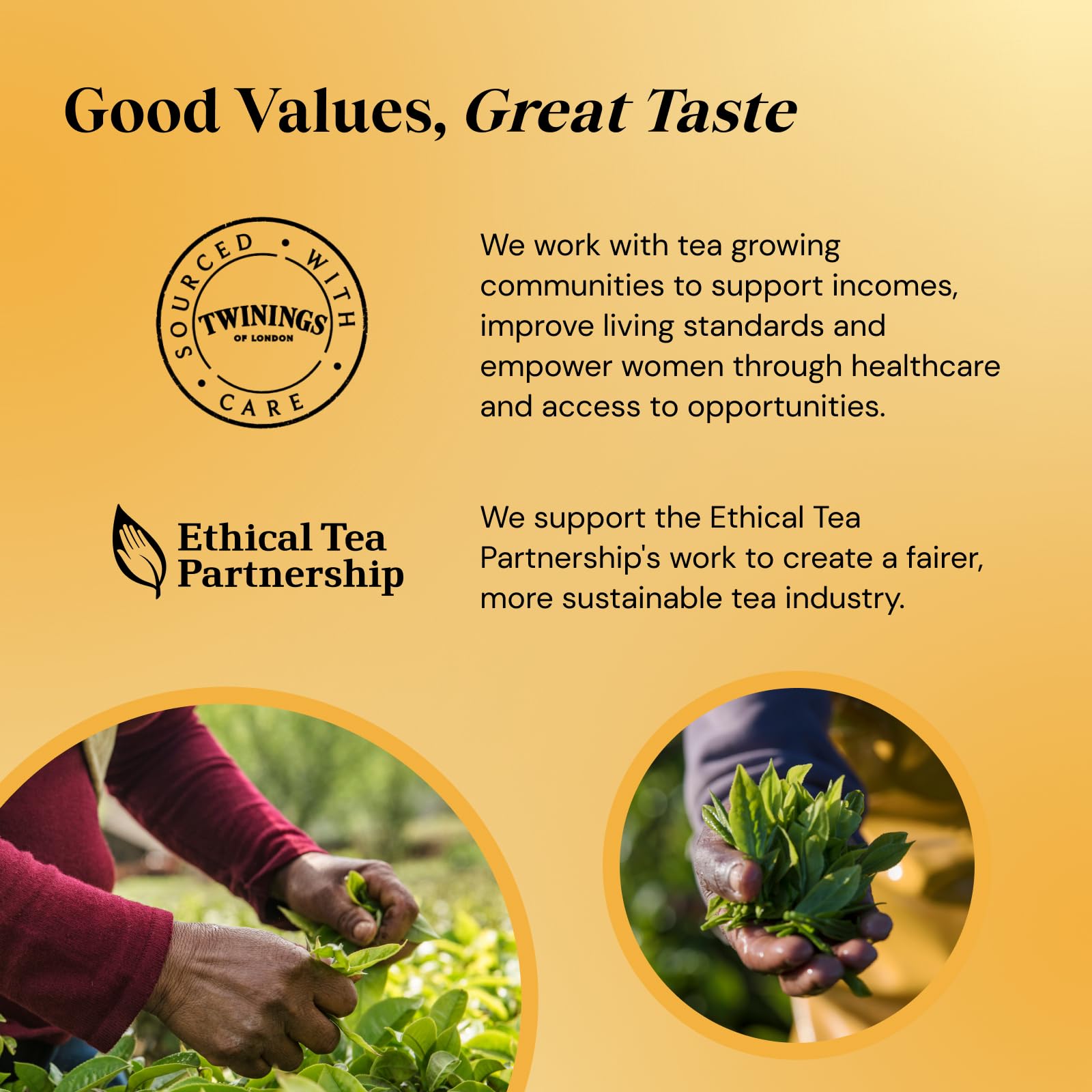 Twinings English Breakfast Black Tea Golden, Well Rounded & Full Bodied, 40 Biodegradable Tea Bags 5