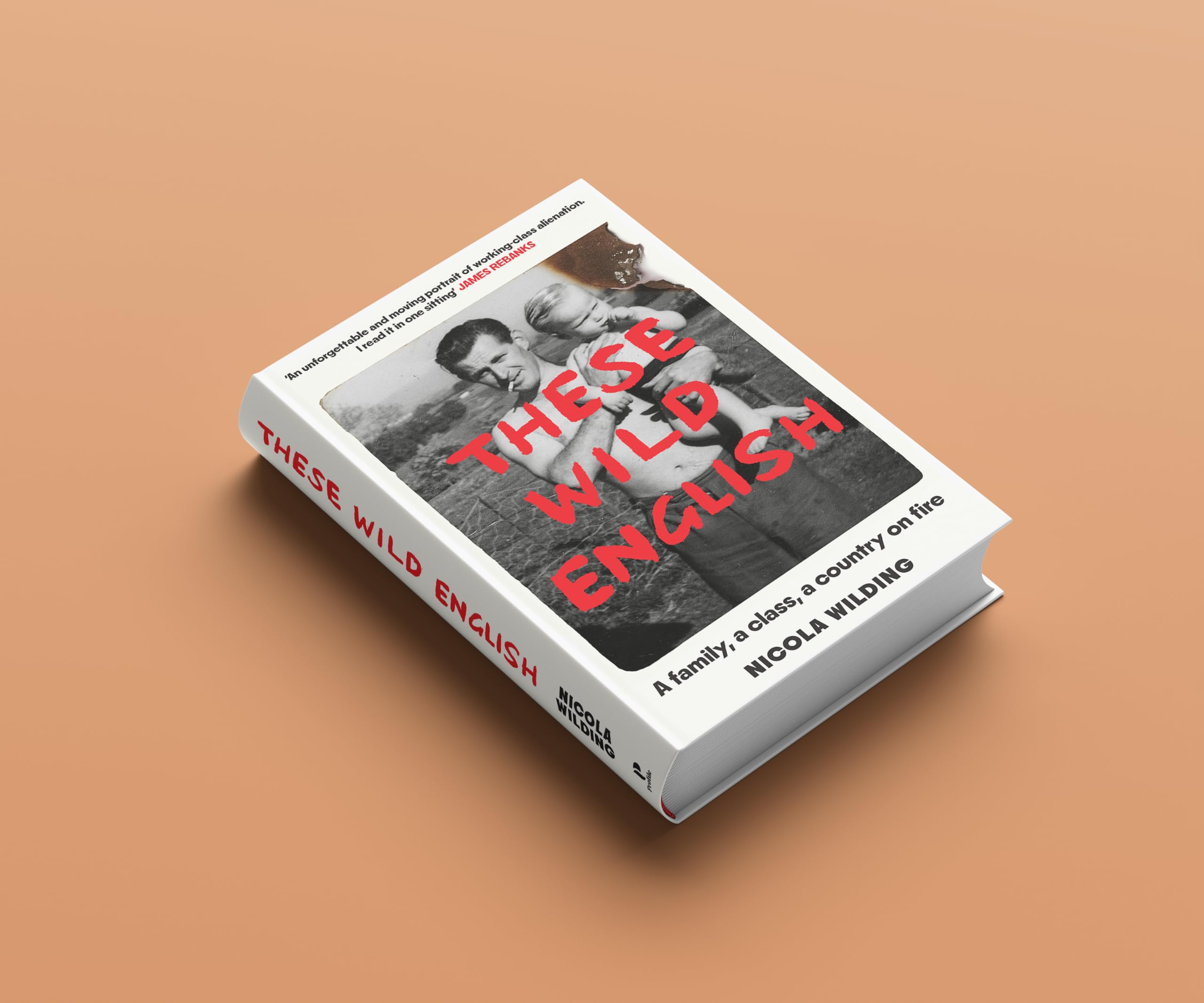 These Wild English: A family, a class, a country on fire by Nicola Wilding 2