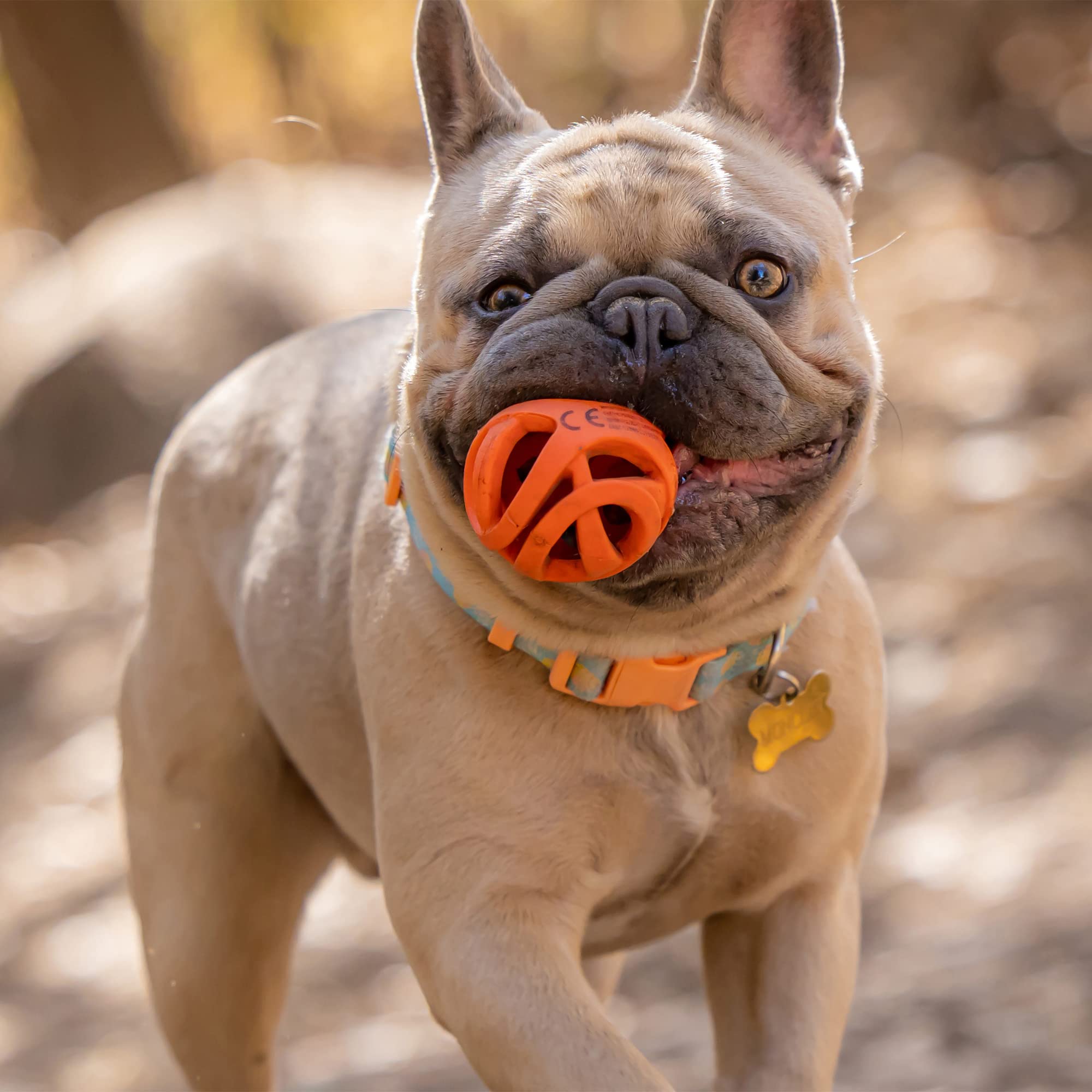 Chuckit! Breathe Right Fetch Ball - Small Size (2 Pack) | Hollow Mesh Design | Waterproof 3