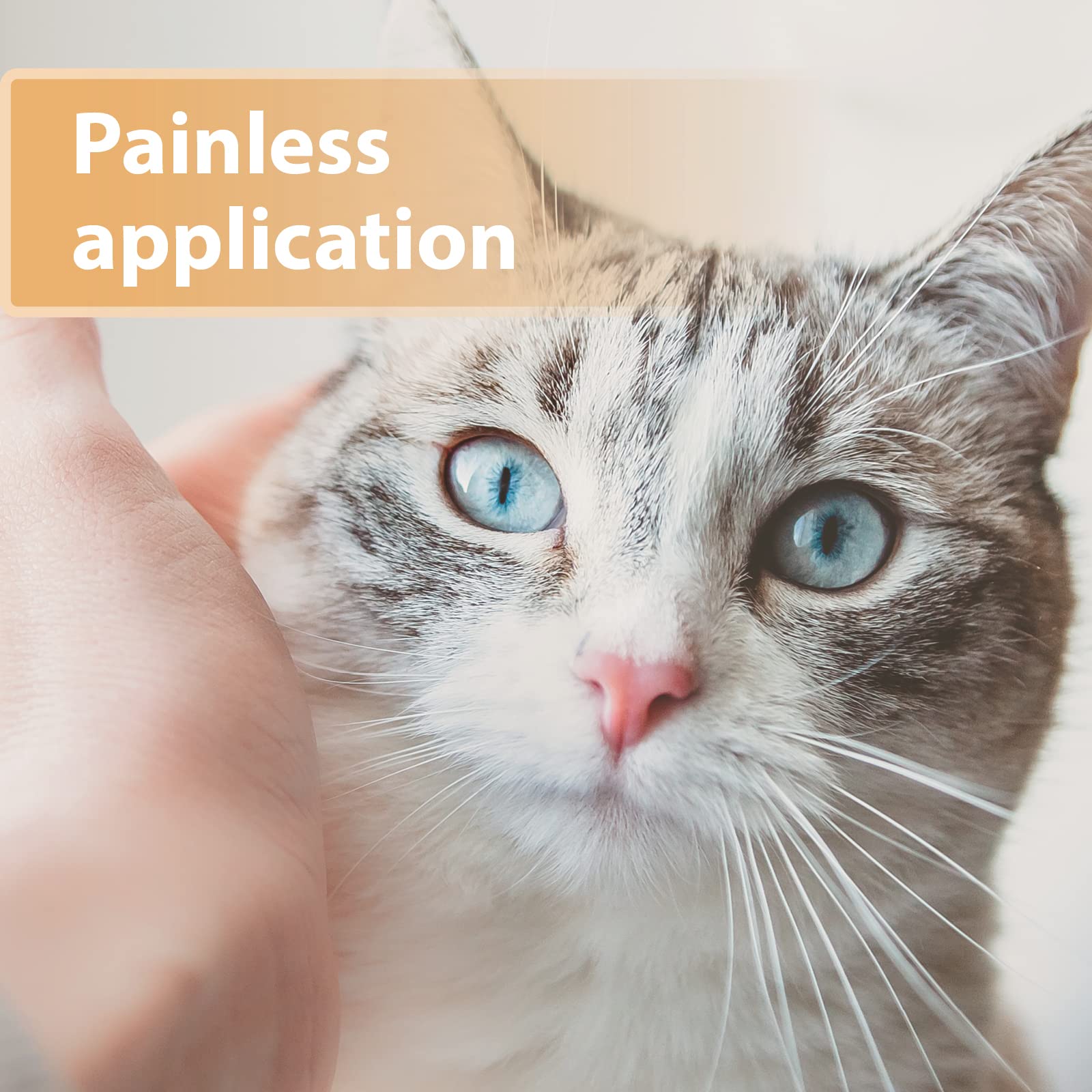 Felisept Wound Gel for Cats - Antiseptic Wound Care | 20ml | Painless Application 4
