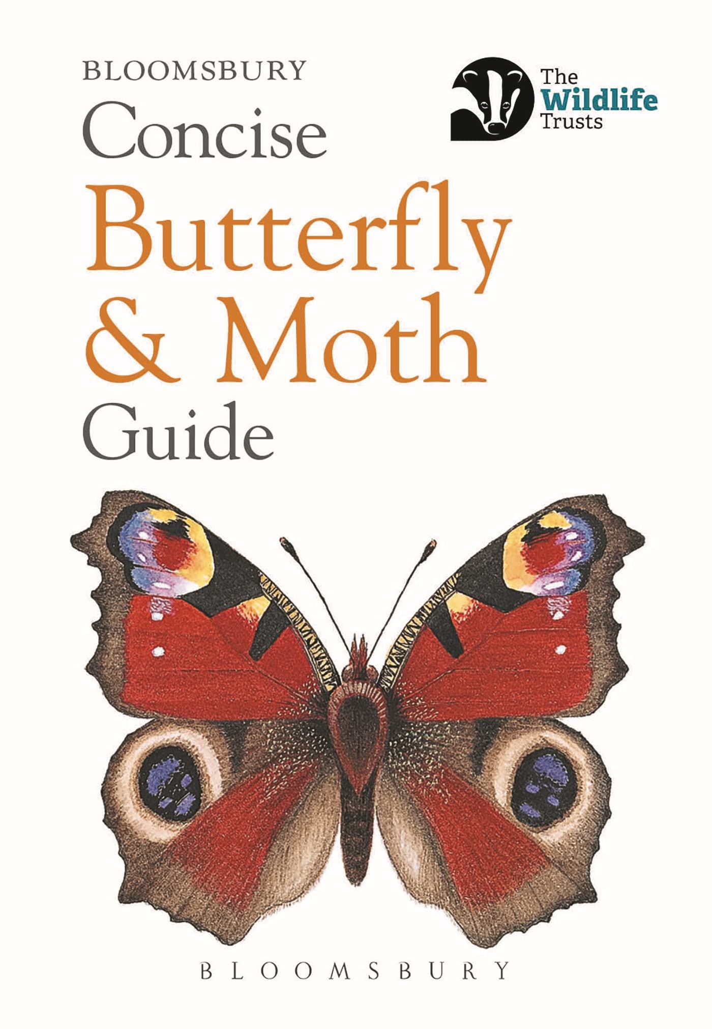 Bloomsbury Concise Butterfly and Moth Guide - 150 Species | Paperback | 192 Pages