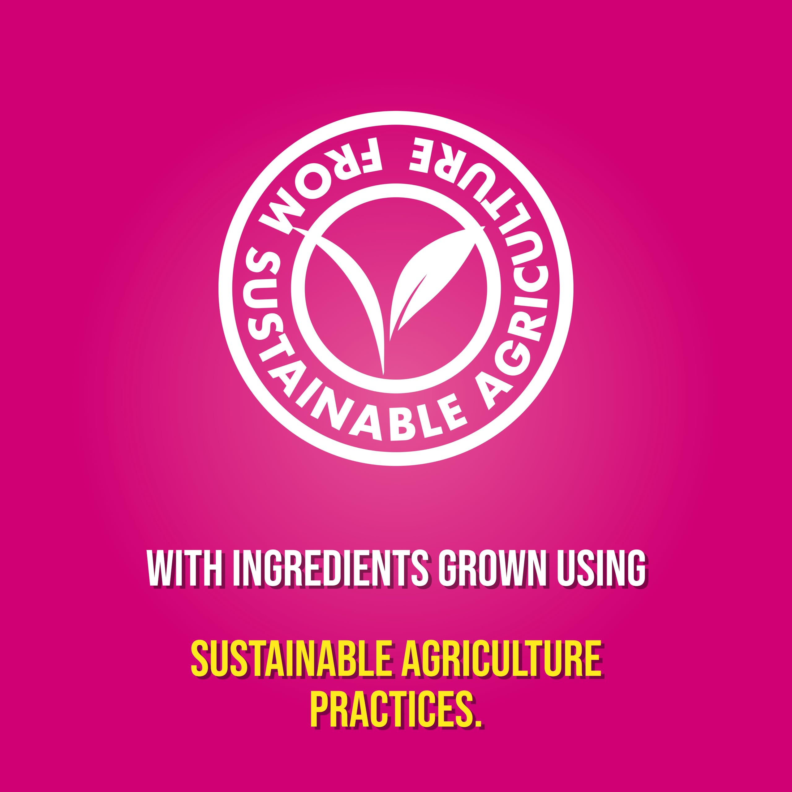 Pot Noodle - Piri-Piri Chicken Instant Noodle Snack, 80g 2