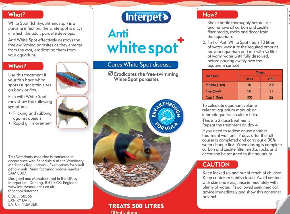 Interpet Anti White Spot Fish Treatment - Cures White Spot Disease | 100 ml Liquid 3