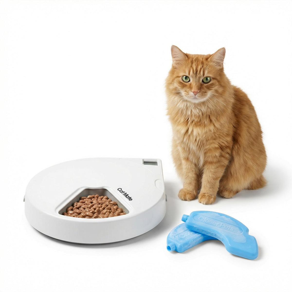 Cat Mate C500 Automatic Pet Feeder - 5 Meals, 5 x 330g Bowls, Digital Timer, Cats & Small Dogs