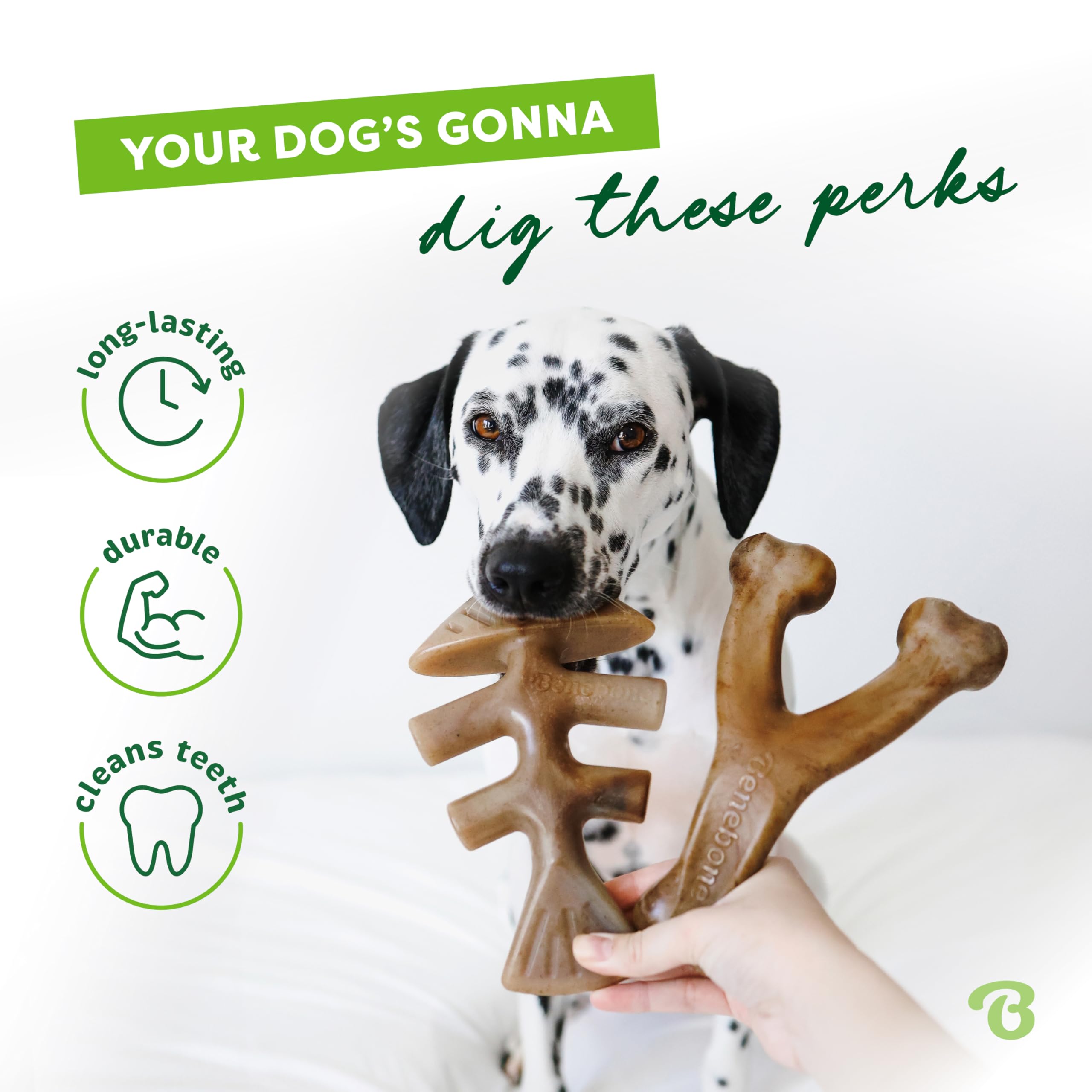 Benebone 2-Pack Fishbone & Wishbone Durable Nylon Chew Toys for Medium Dogs | Real Bacon & Salmon Flavor 3