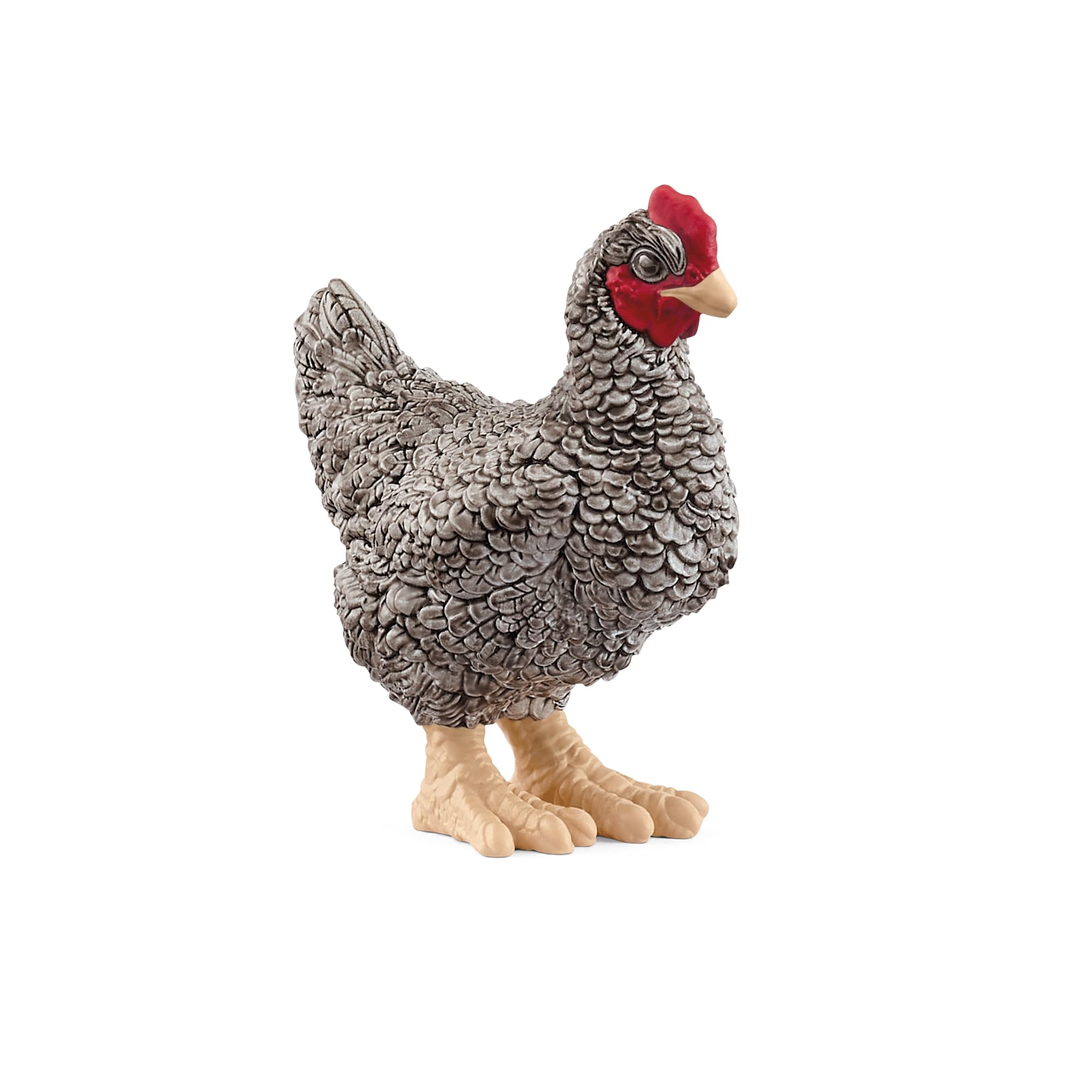 Schleich FARM WORLD Plymouth Rock Chicken Toy Figure | 2.36 inches | Ages 3+ | Multicoloured