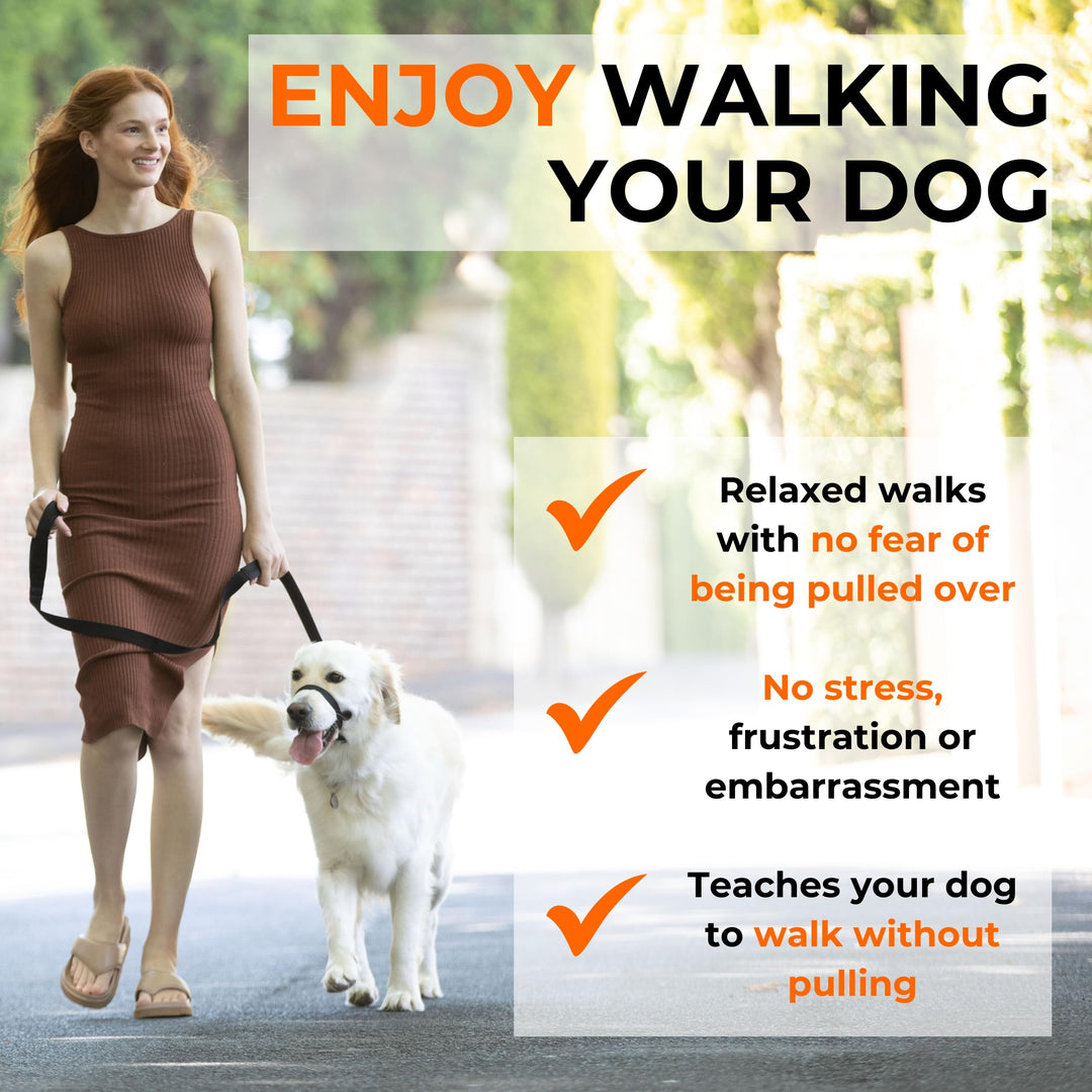 Canny - Canny Collar Head Collar for Dog Training and Walking - Black (Size 4, Model 02-1005)