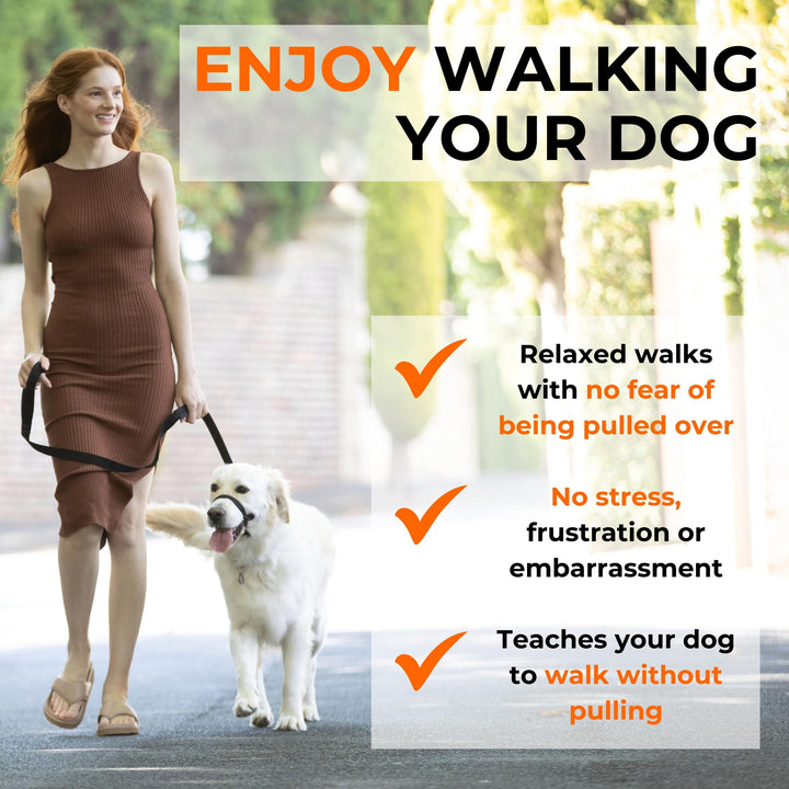 Canny - Canny Collar Head Collar for Dog Training and Walking - Black (Size 4, Model 02-1005)