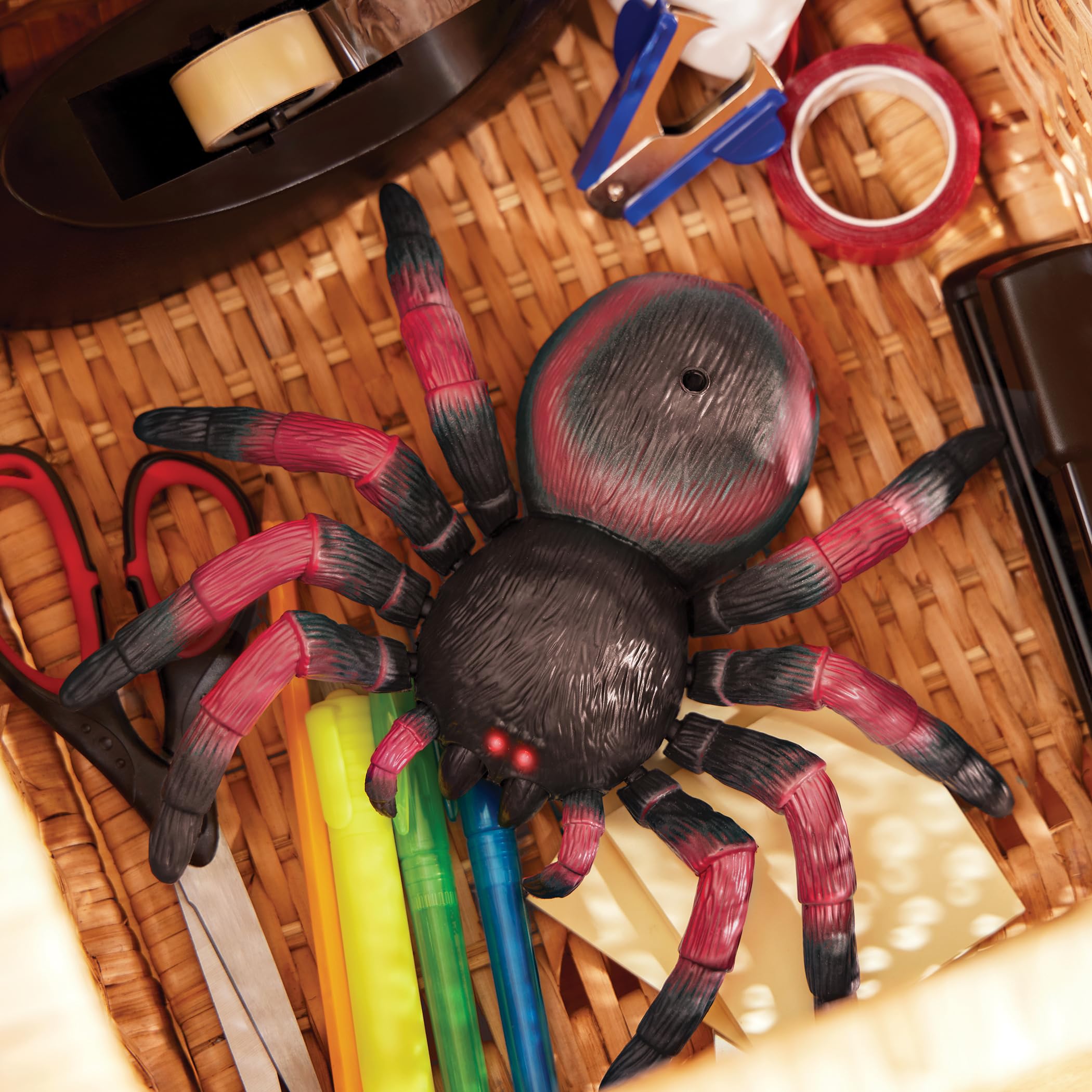 Terra by Battat AN2805Z Remote Control Spider Toy - Realistic Moving Legs, 360° Spin, Educational Insect Play for Kids 4