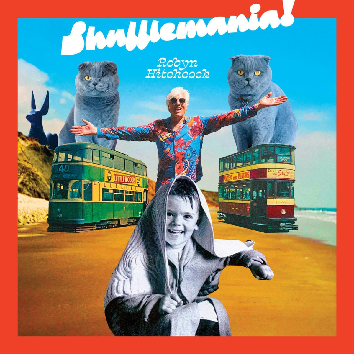Robyn Hitchcock - SHUFFLEMANIA! [Vinyl]