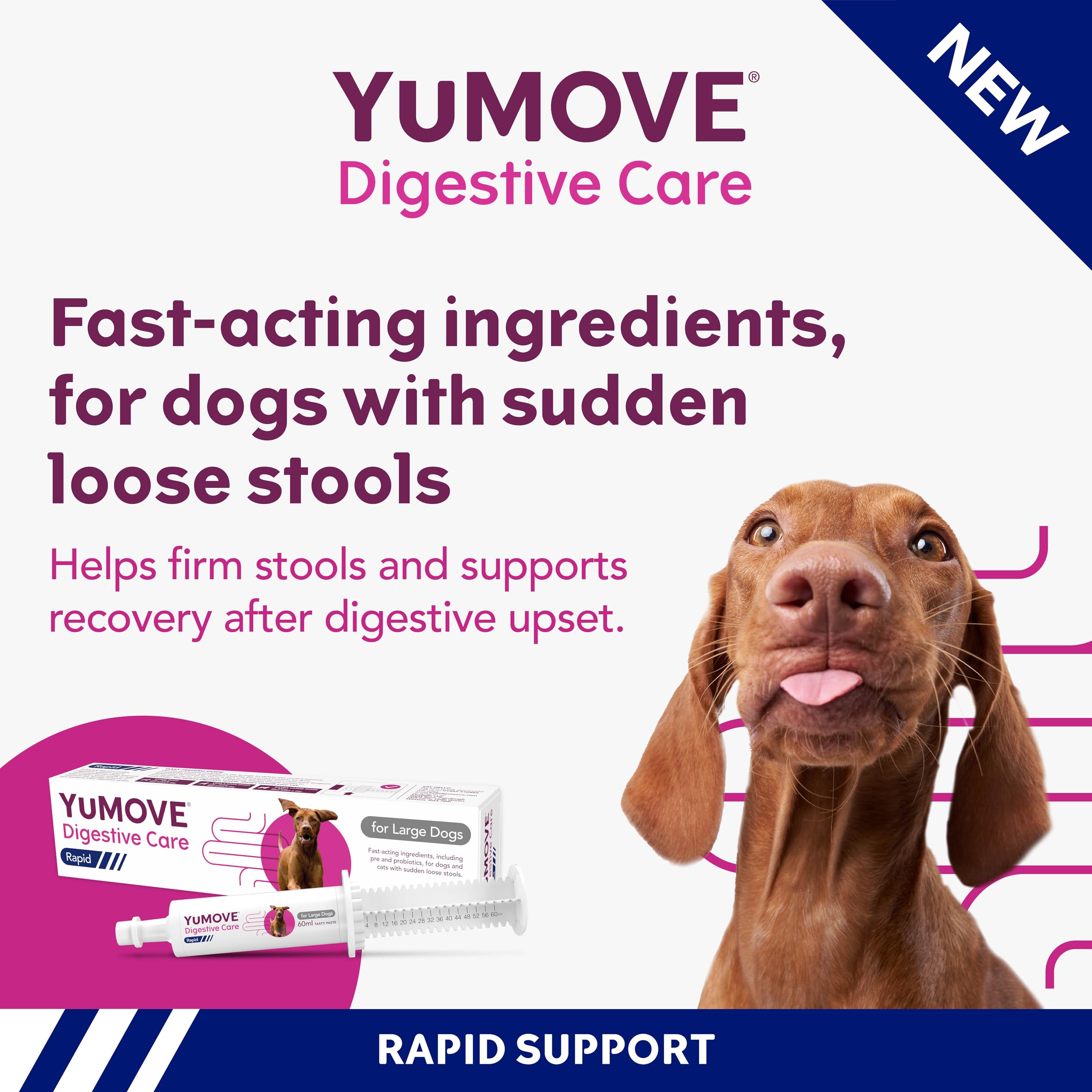 YuMOVE Digestive Care Rapid Dog Pre and Probiotic Paste for Gut Health | 2 Pack | 120ml Total 2