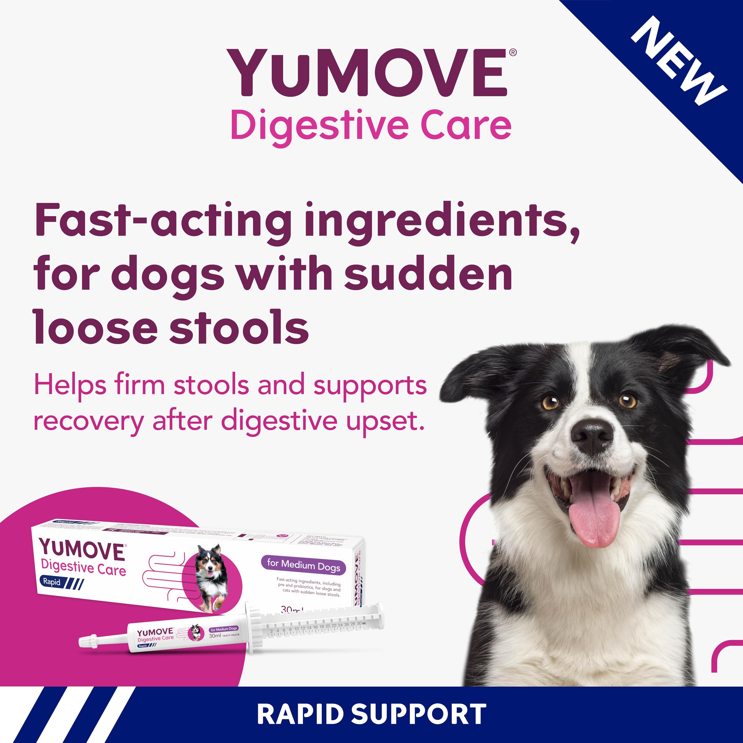 YuMOVE Digestive Care Rapid Pre and Probiotic Paste for Dogs Gut Health | 30ml 2
