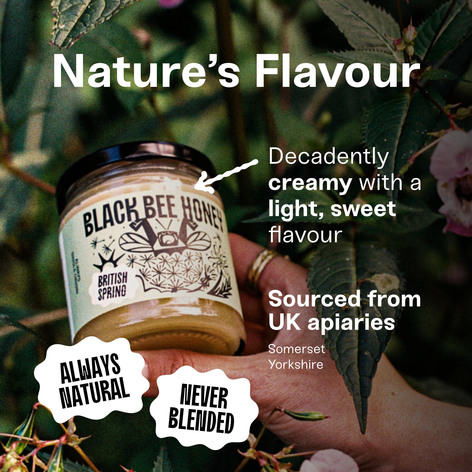 Black Bee Honey - Pure British Spring Soft Set Honey | Creamy | 227g 3