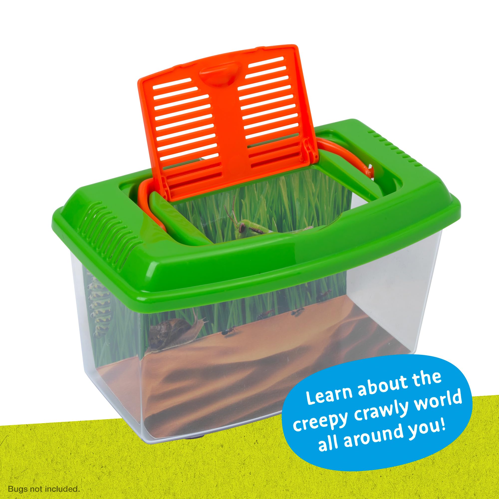 Peterkin Classics Bug City Bug Carry Case | Plastic | Unisex Children | Model 11834 3