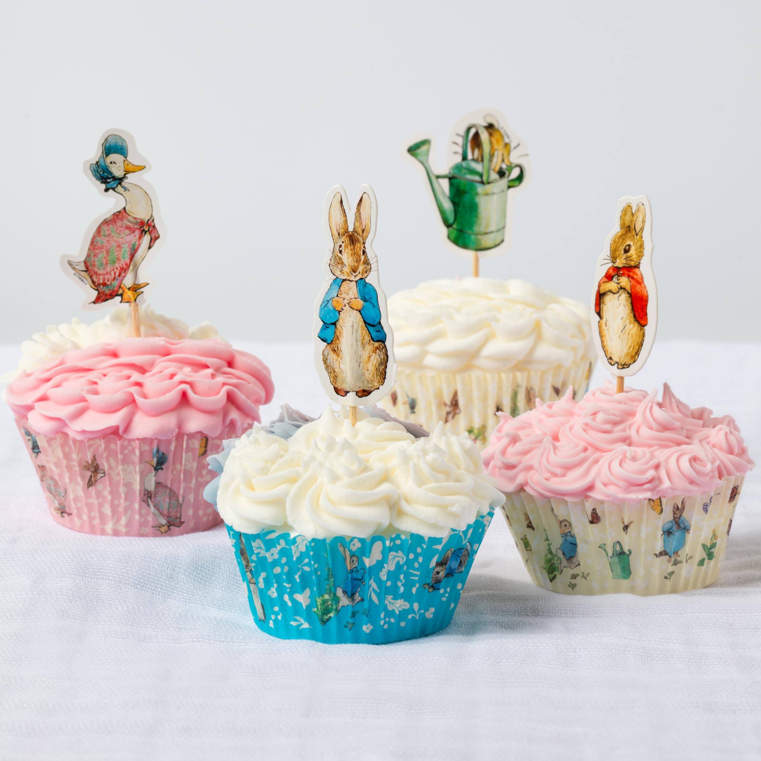 Anniversary House Peter Rabbit Character Party Picks - 12 Double-Sided Paper Toppers | 5.5cm 5