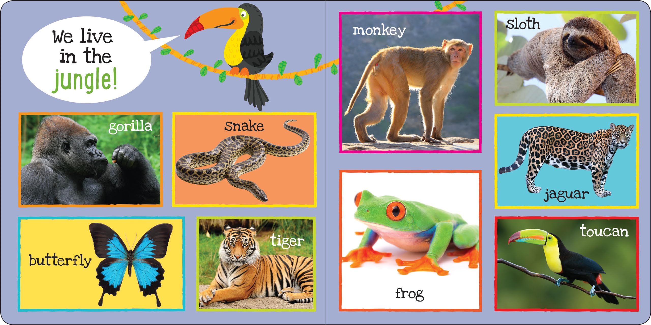 Peter Pauper Press My First 101 Animals Board Book - Ages 0-2 | 24 Pages | English