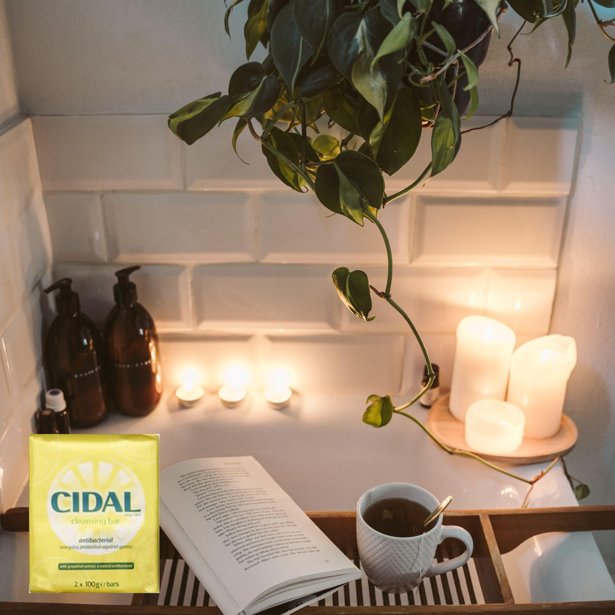 Cidal Antibacterial Soap with Grapefruit Extract - 2 x 100 g Bars