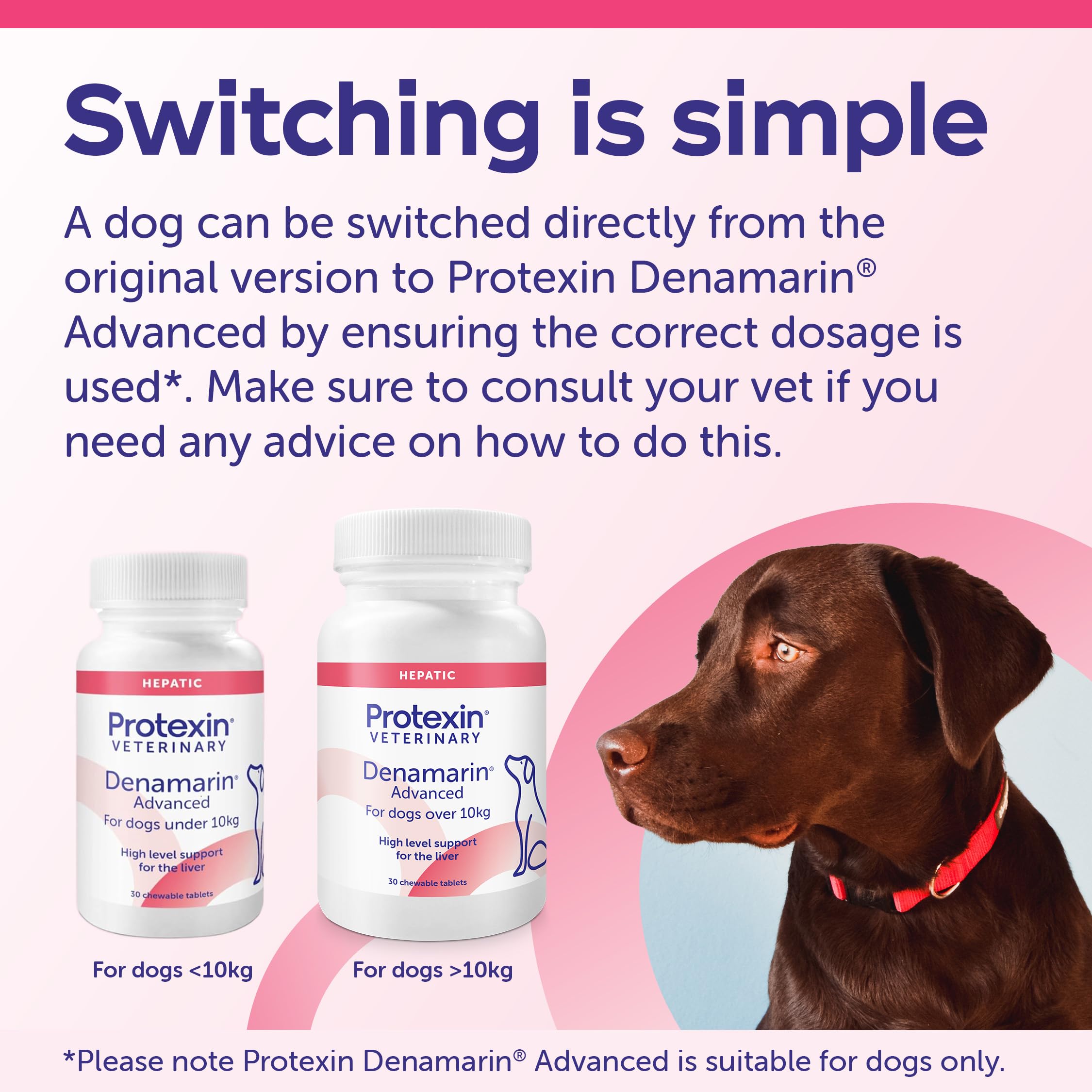 Protexin Denamarin Advanced for Dogs over 10kg - Supports Normal Liver Function with SAMe & Silybin | 30 Tablets