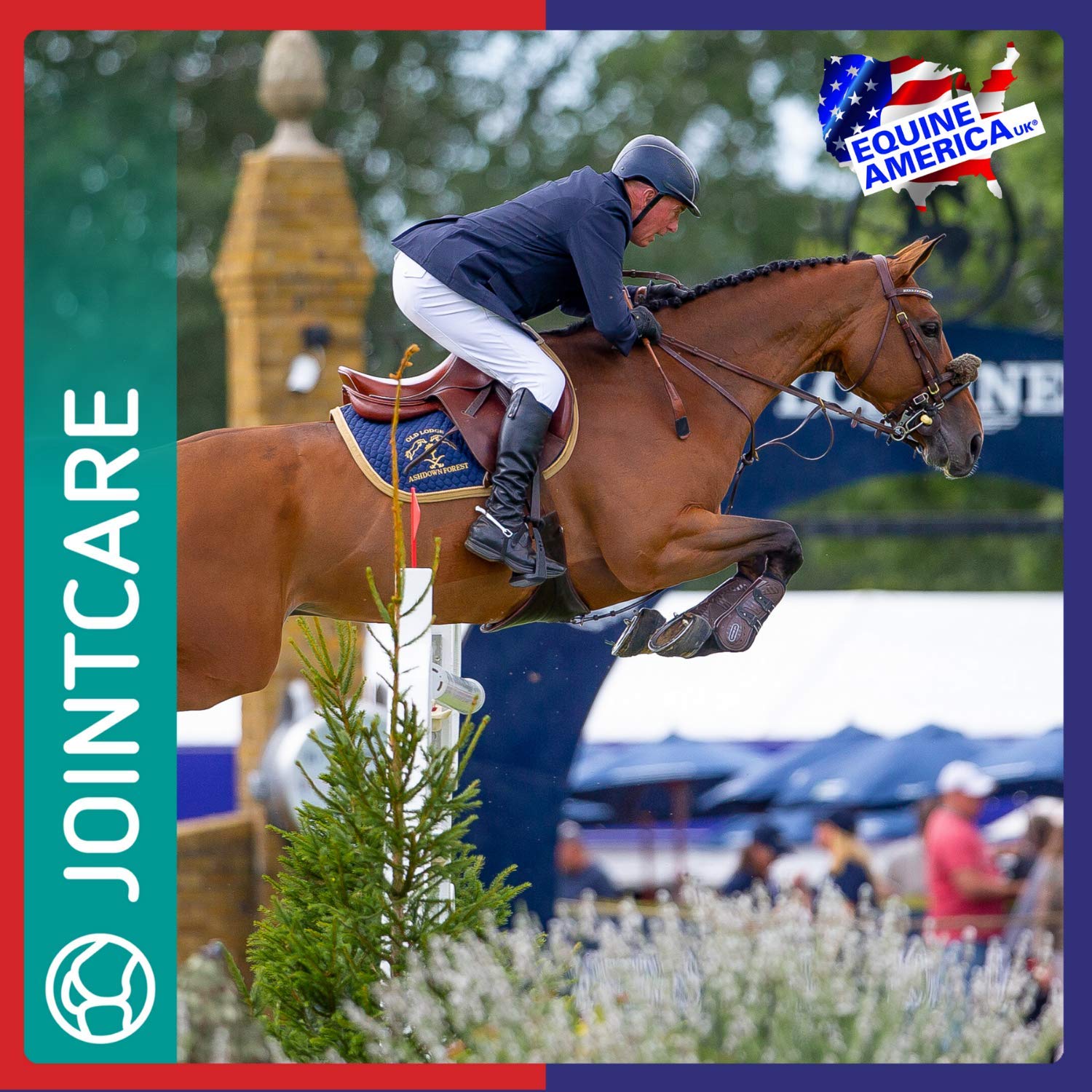 Equine America Glucosamine HCI 12000 - Supports Healthy Joints in Horses & Ponies | 1 kg 5