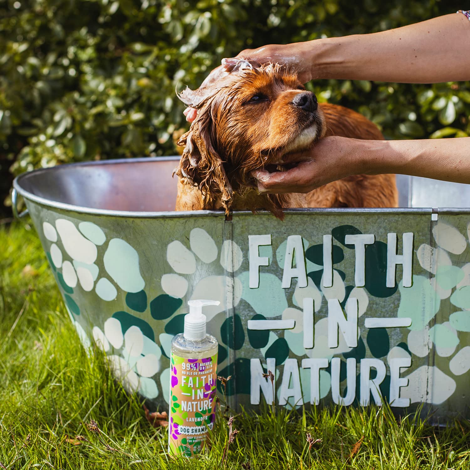 FAITH IN NATURE Lavender Dog Shampoo - Vegan, Cruelty Free, pH-Balanced, 400ml 4