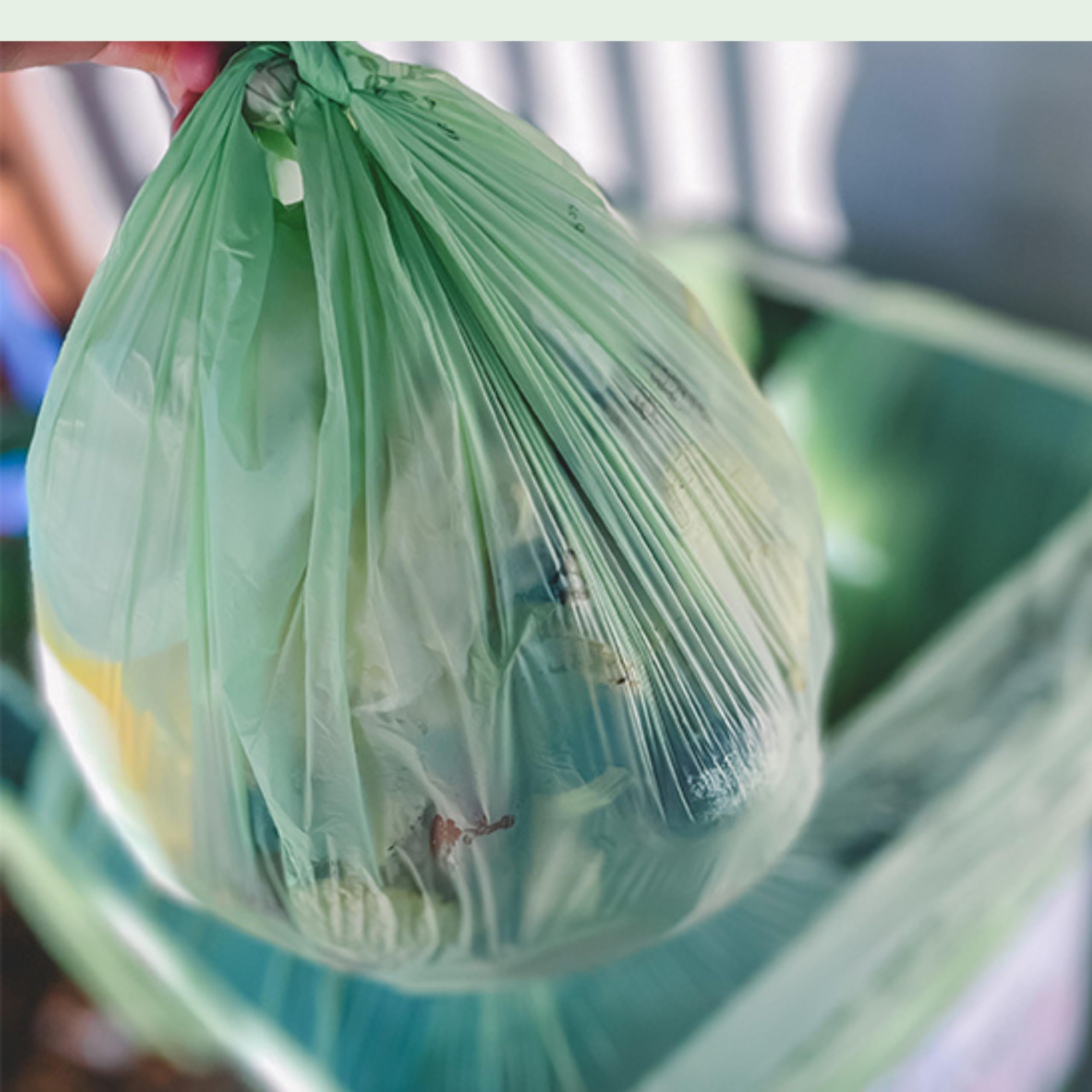 BioBag 10L Compostable Caddy Bin Liners - 20 Count, Green, Plant-Based Material 2