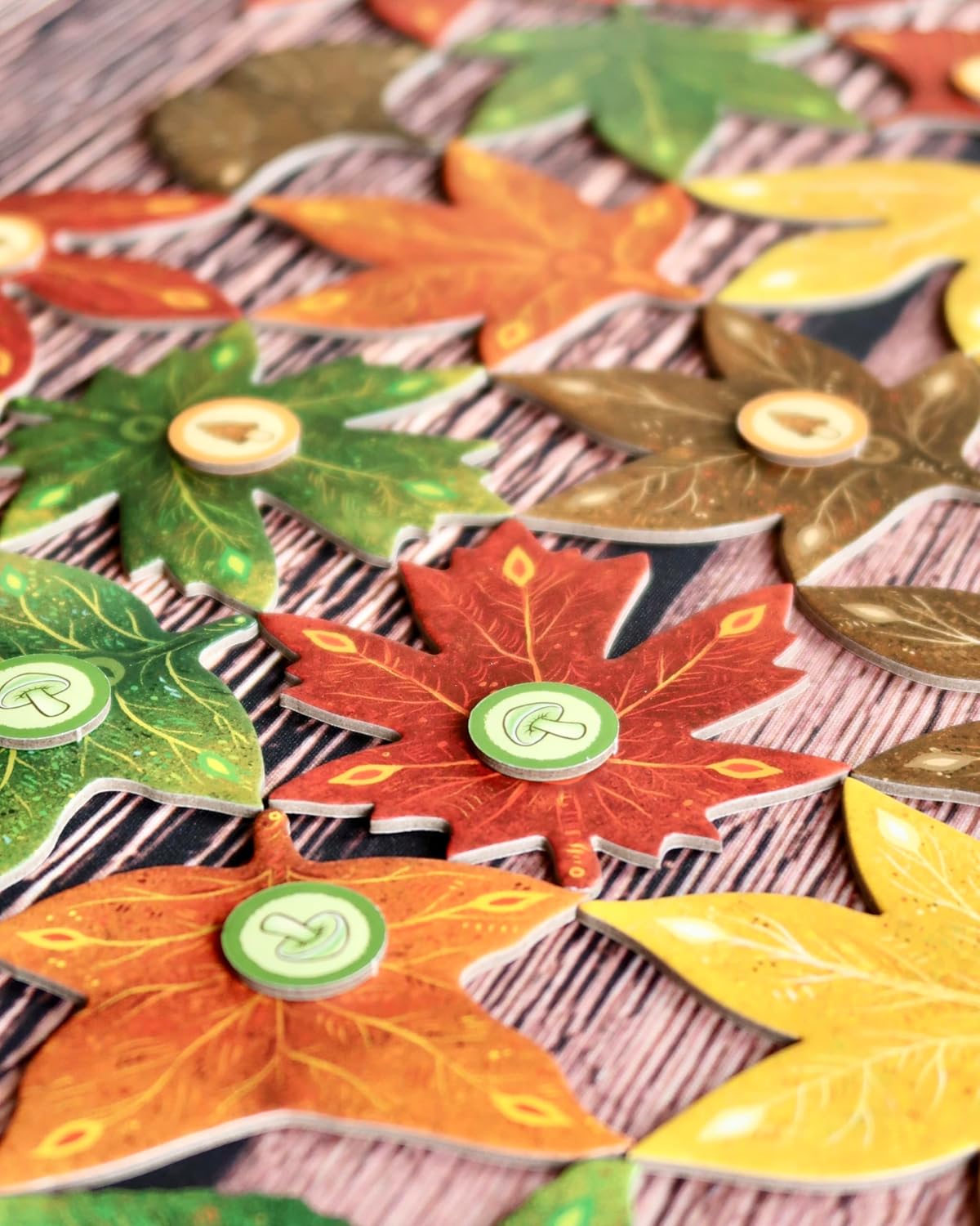 Weird City Games Leaf Family Card Game for Ages 10+ | 1-4 Players | 30-45 Minute Play Time 3