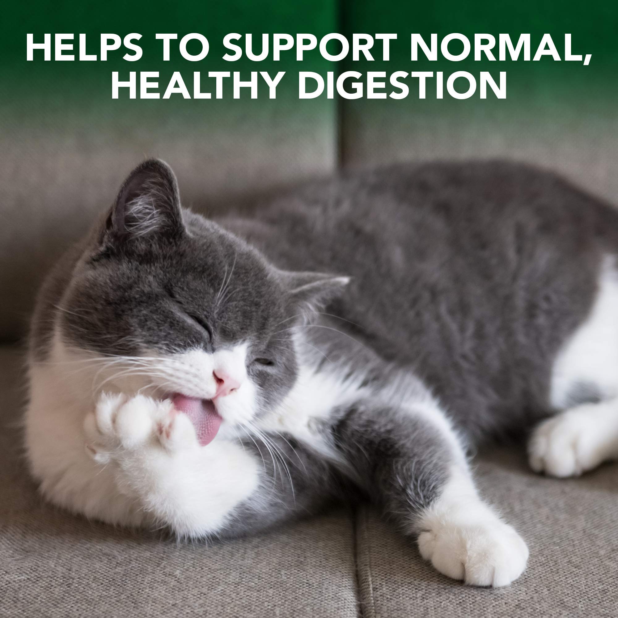 Vet's Best Cat Hairball Relief Digestive Aid Gel - 100g | Chicken Flavor | All Life Stages