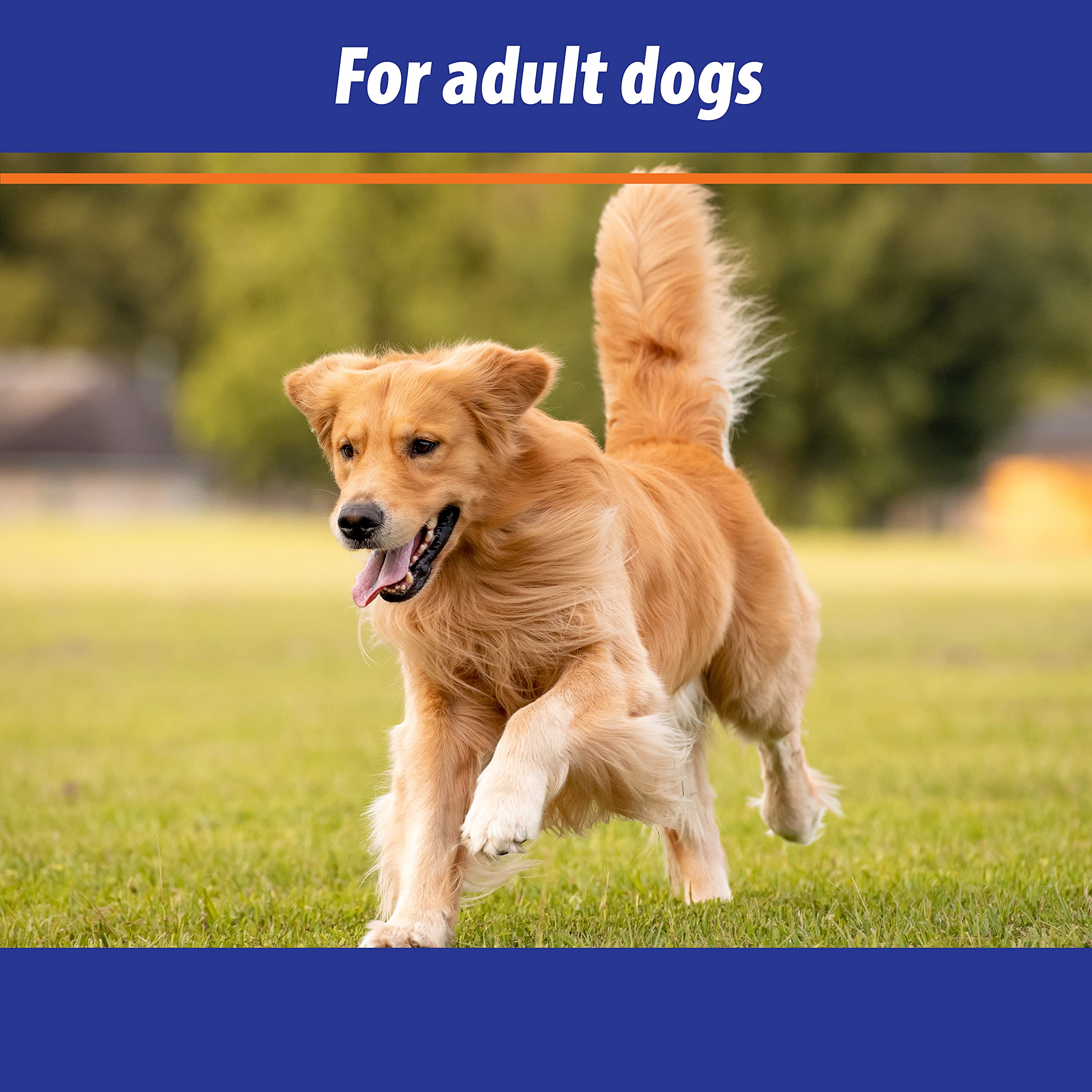 Exmarid Dry Skin Formula Supplement for Dogs - Nourishing Oil for Hydration | 150 ml 3
